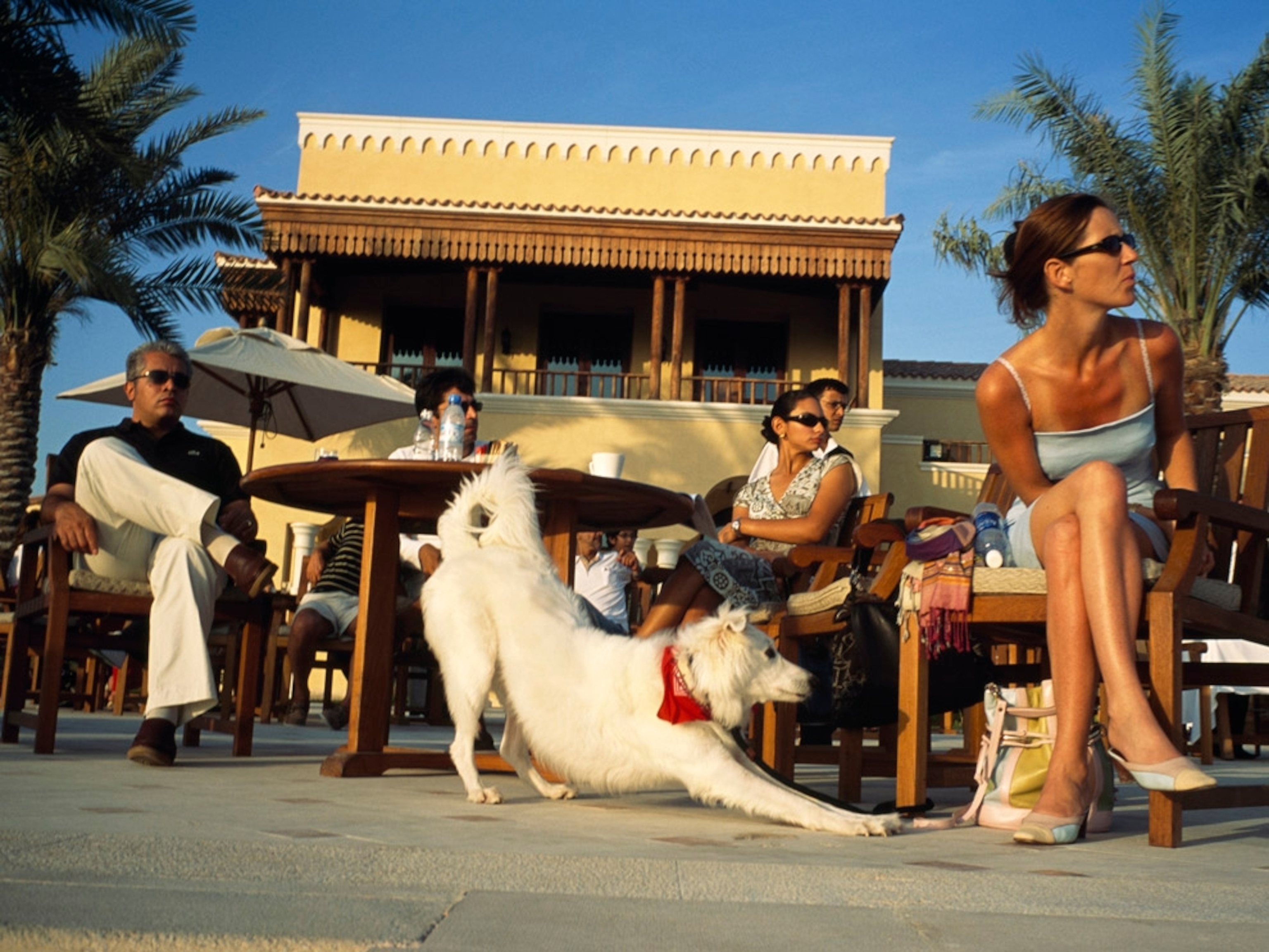 Expatriates at Arabian ranches