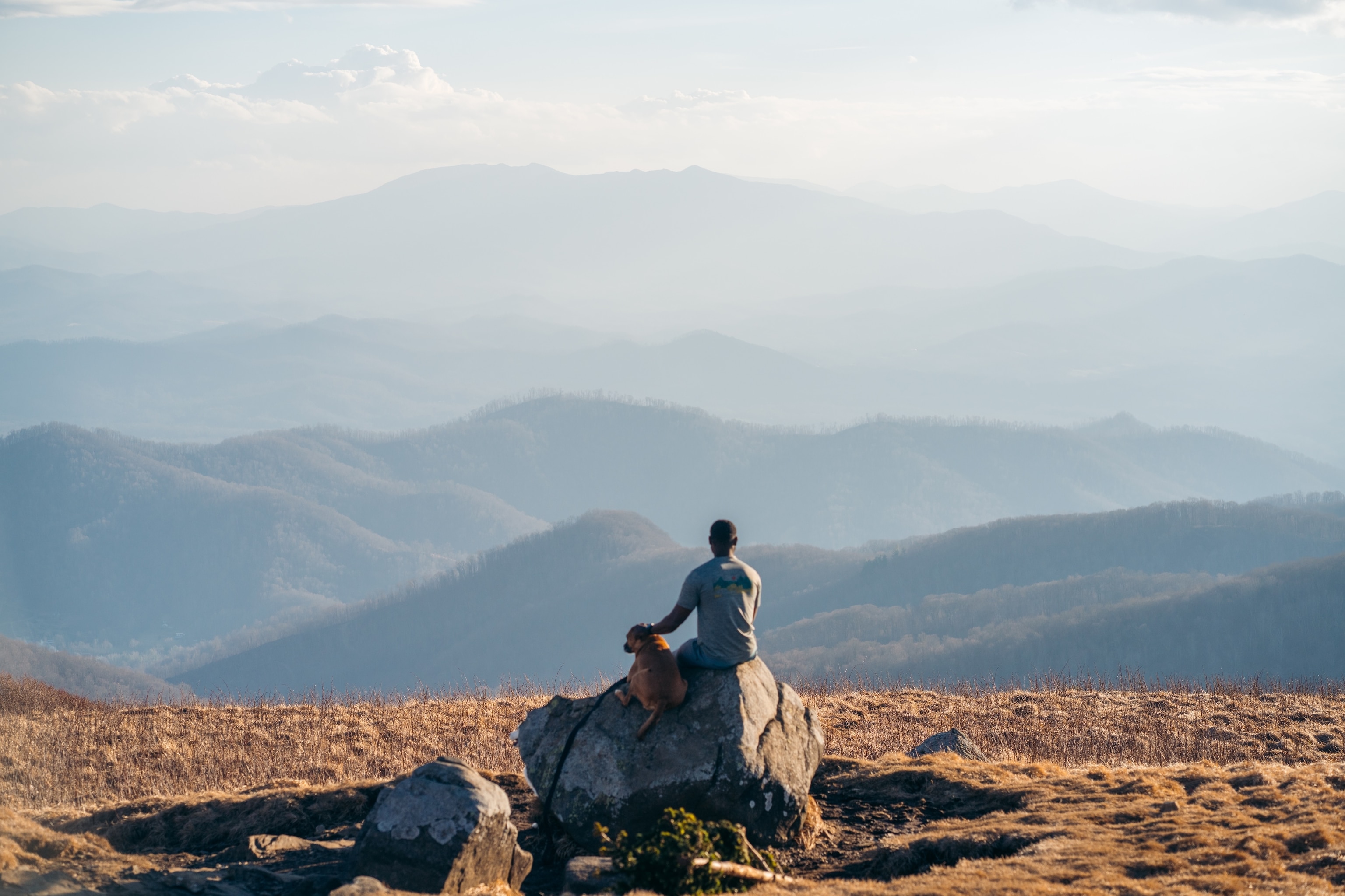 Leia lives for road trips, and Rex loves hiking, and I love watching these two live their best lives. So we all load up in the car and head to Roan Mountains here in North Carolina, one of our favorite spots. Just look at that view!