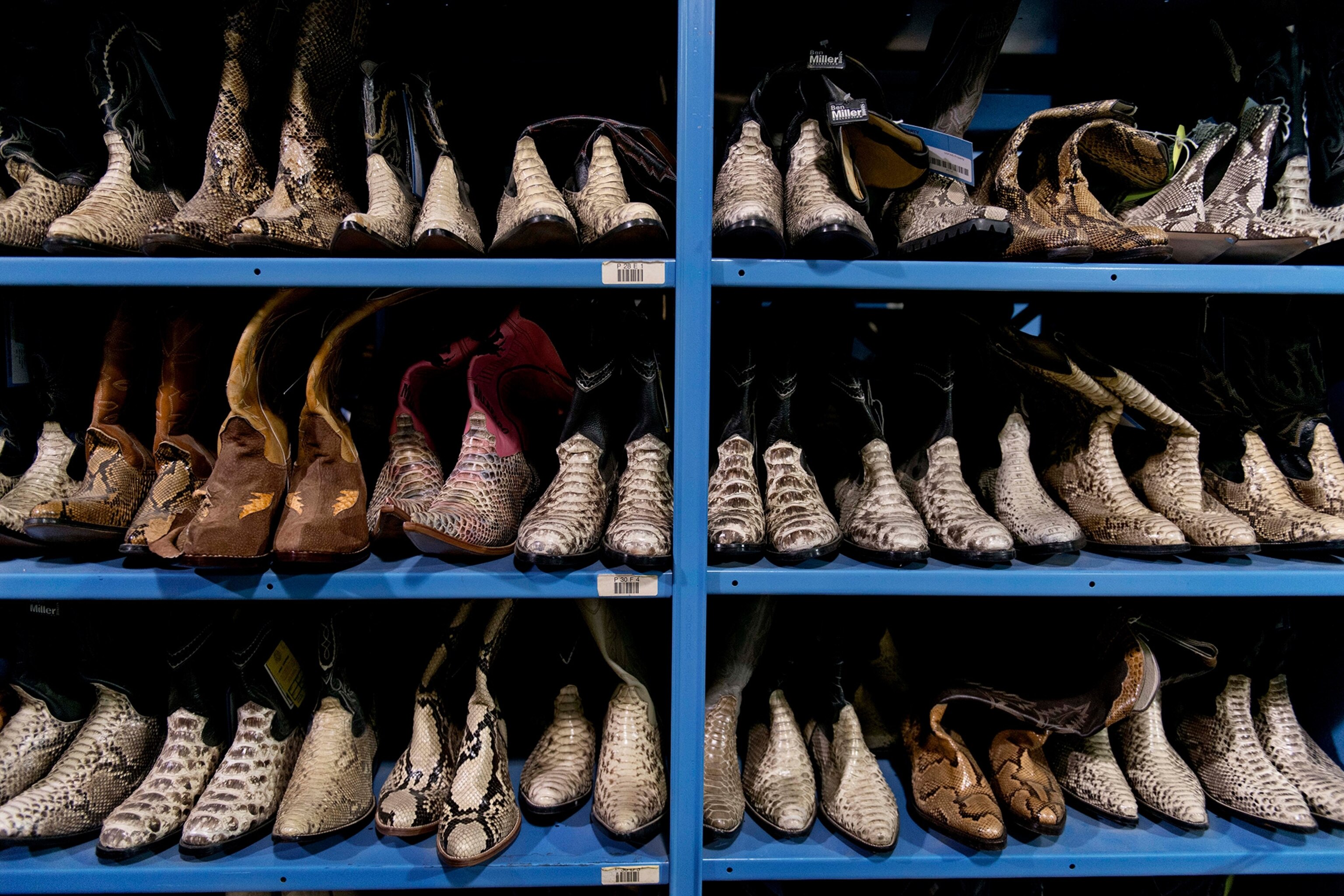 Fashion brands had thousands of exotic leather goods seized by U.S. law