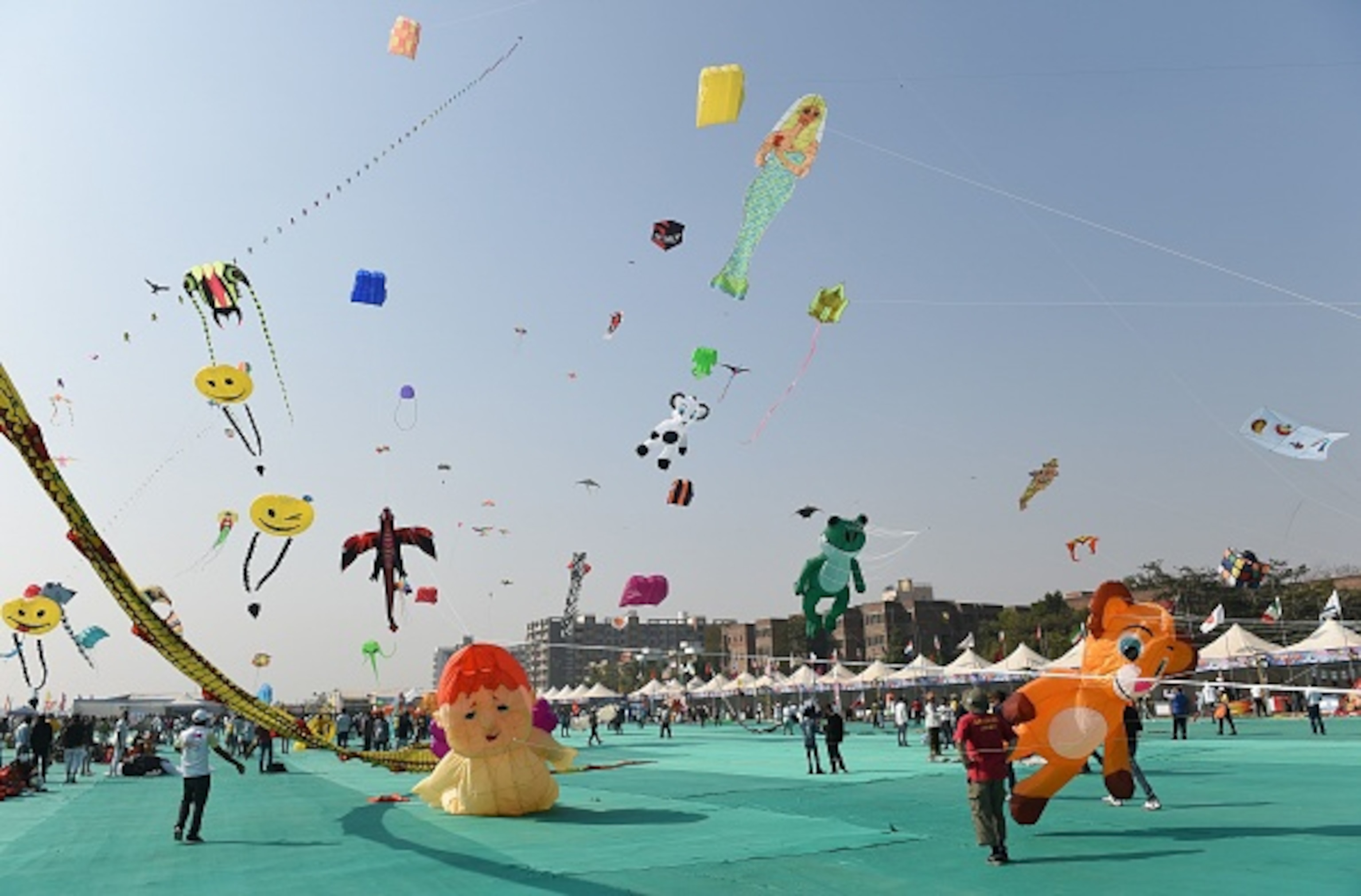 Various large kits blow in the wind.