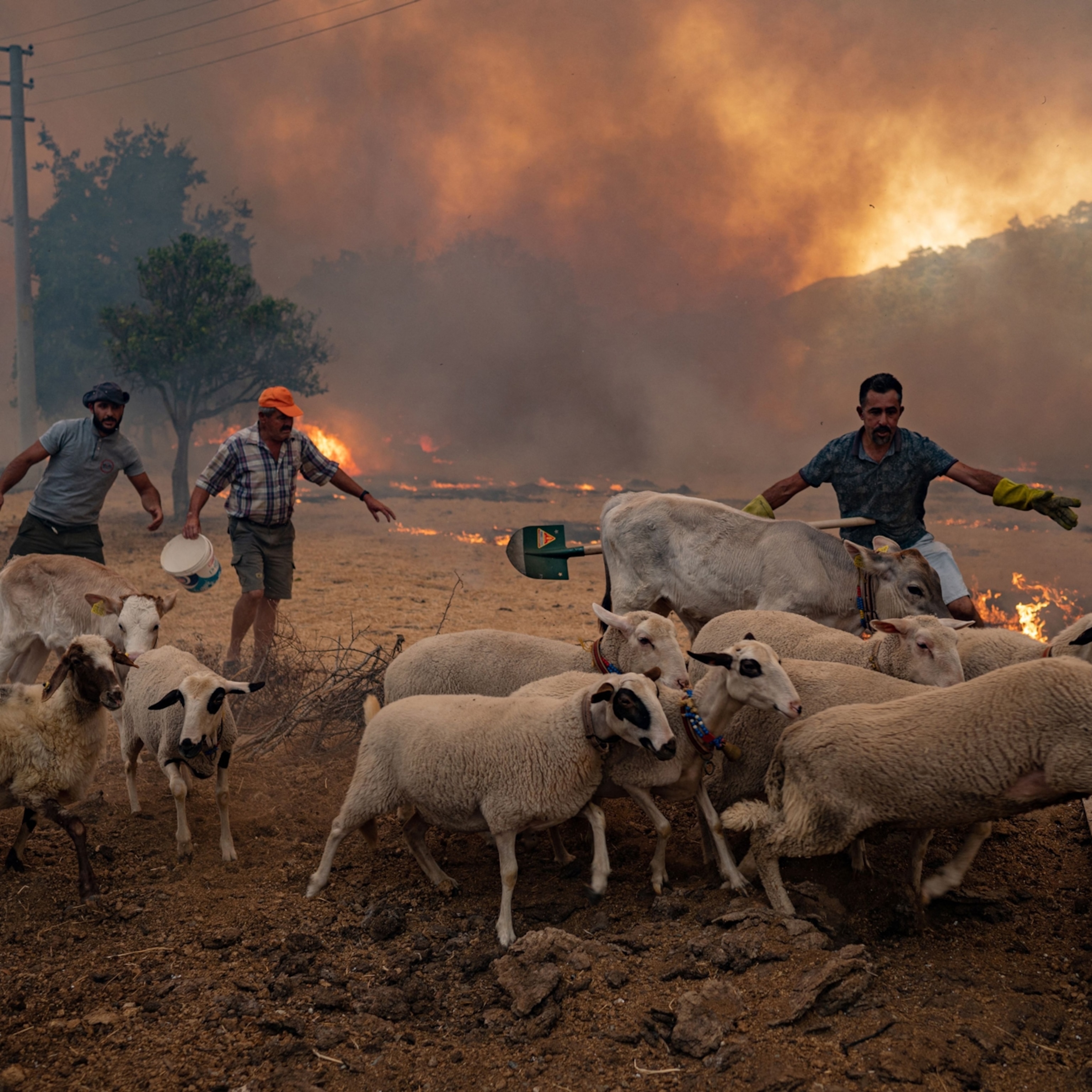 Deadly heat waves, floods, drought will get worse if warming continues