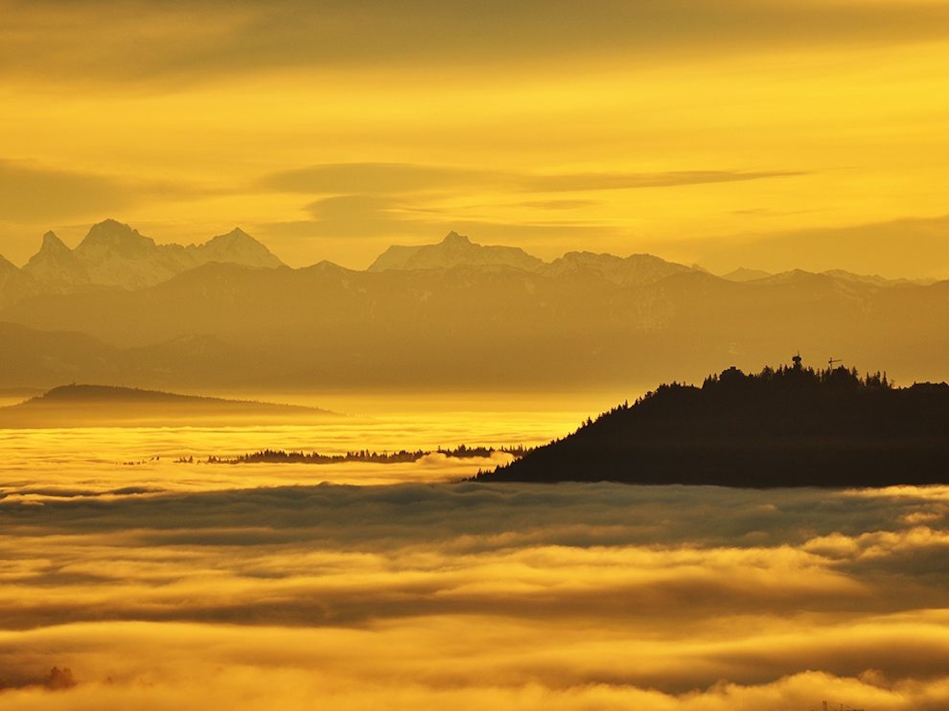 fog-shrouded Vancouver