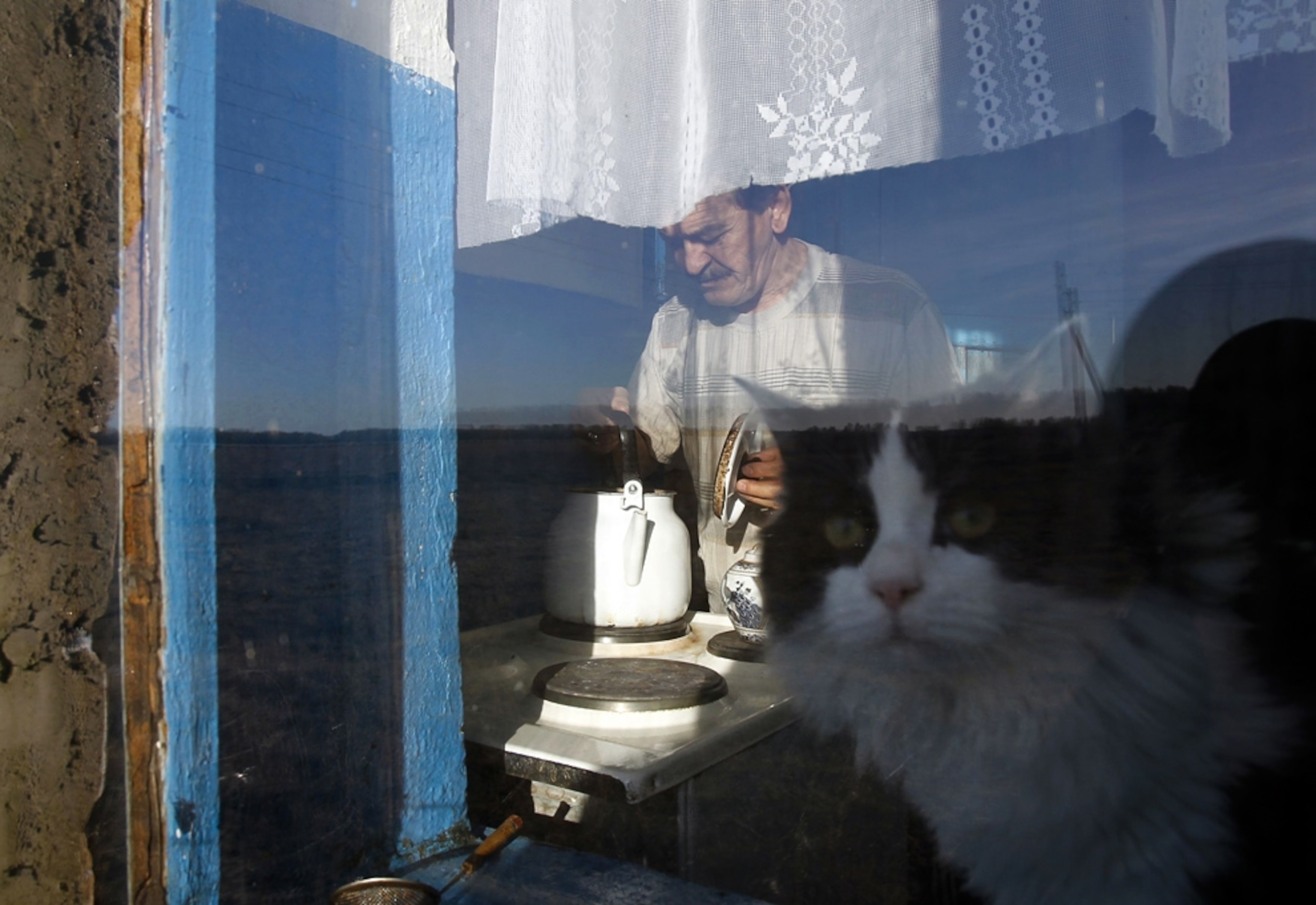 A man makes tea inside his home while his cat peers out the window.