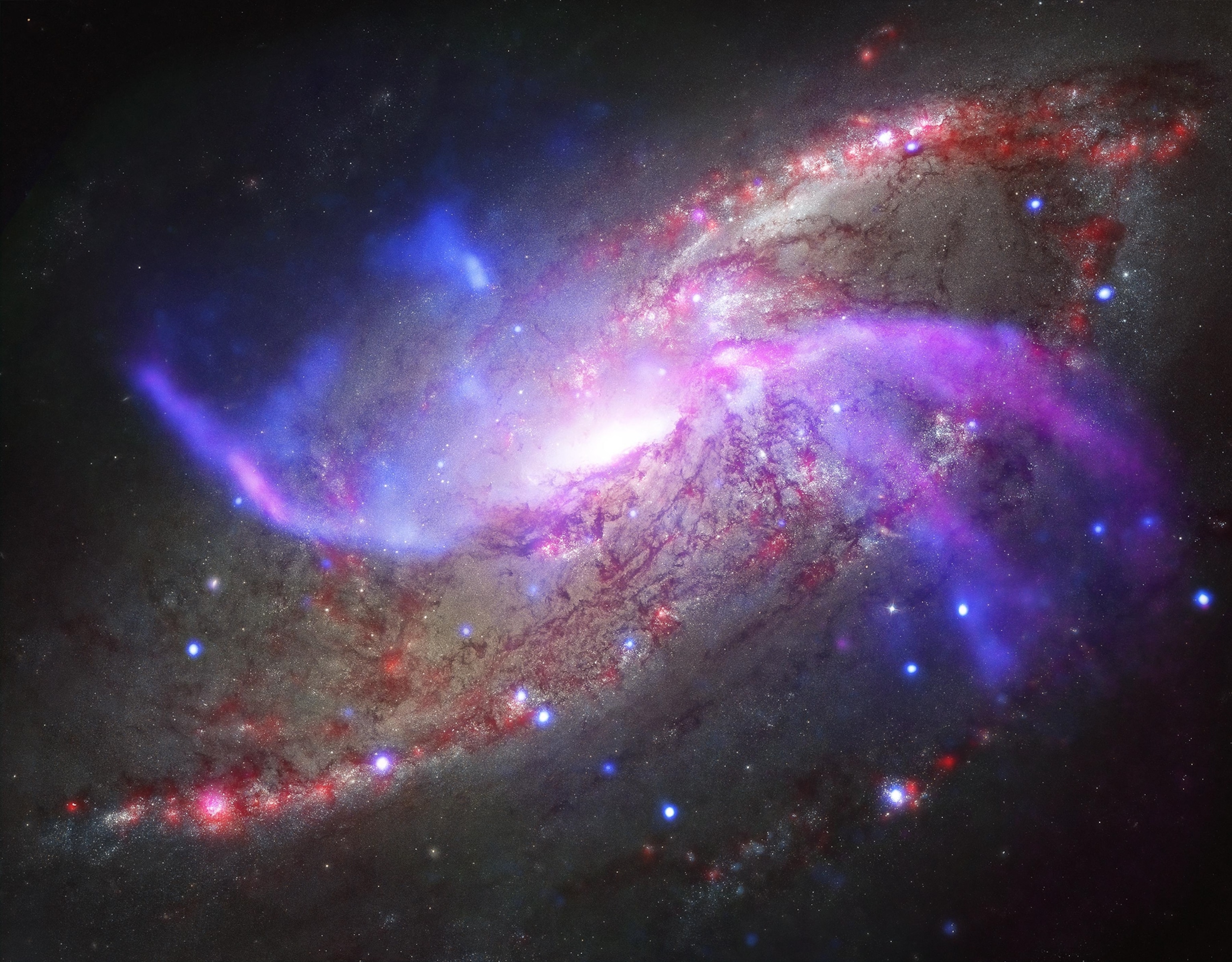 A composite image of NGC 4258, a spiral galaxy.