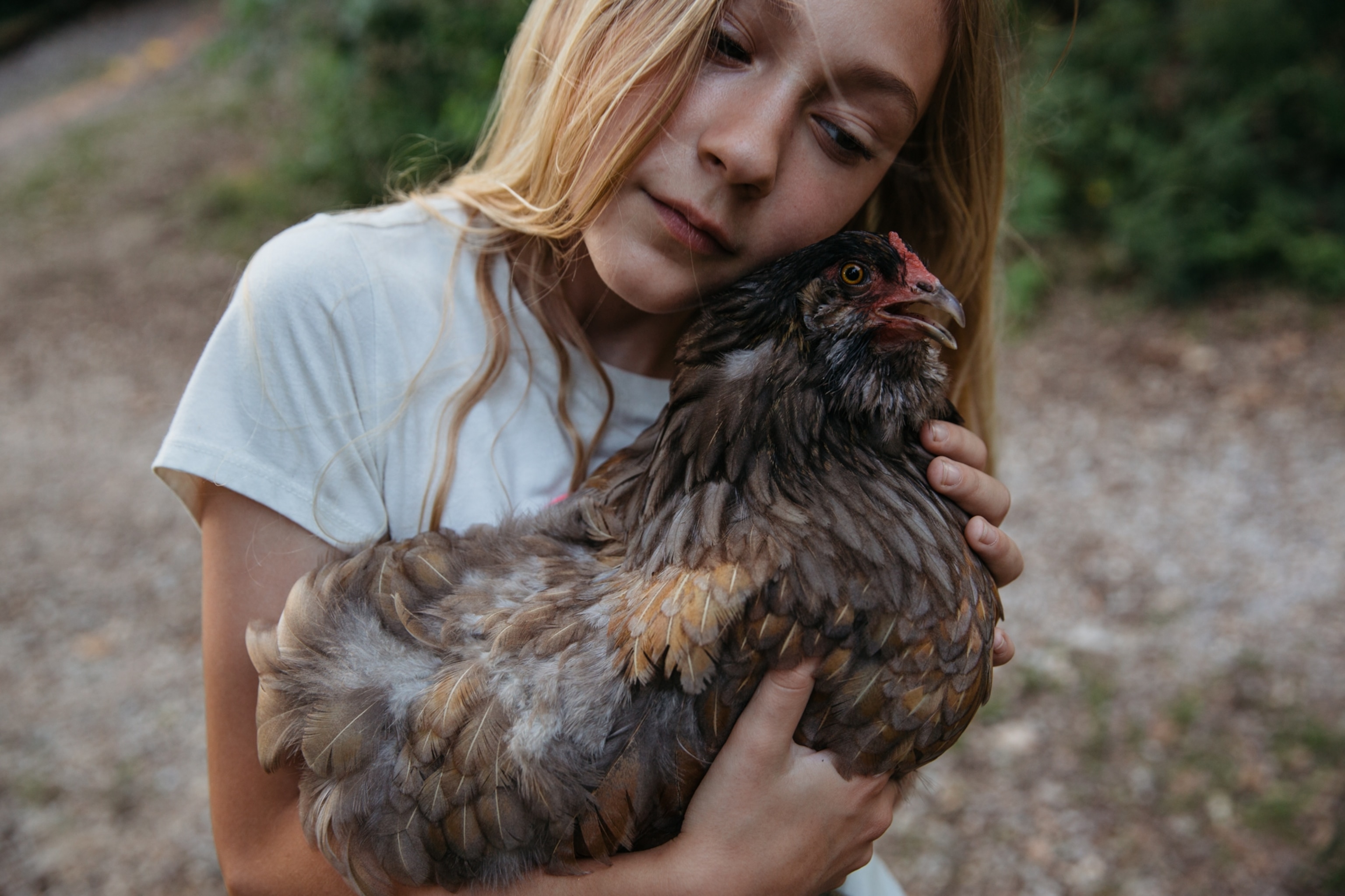 A young girl hugs a brown spotted chicken.