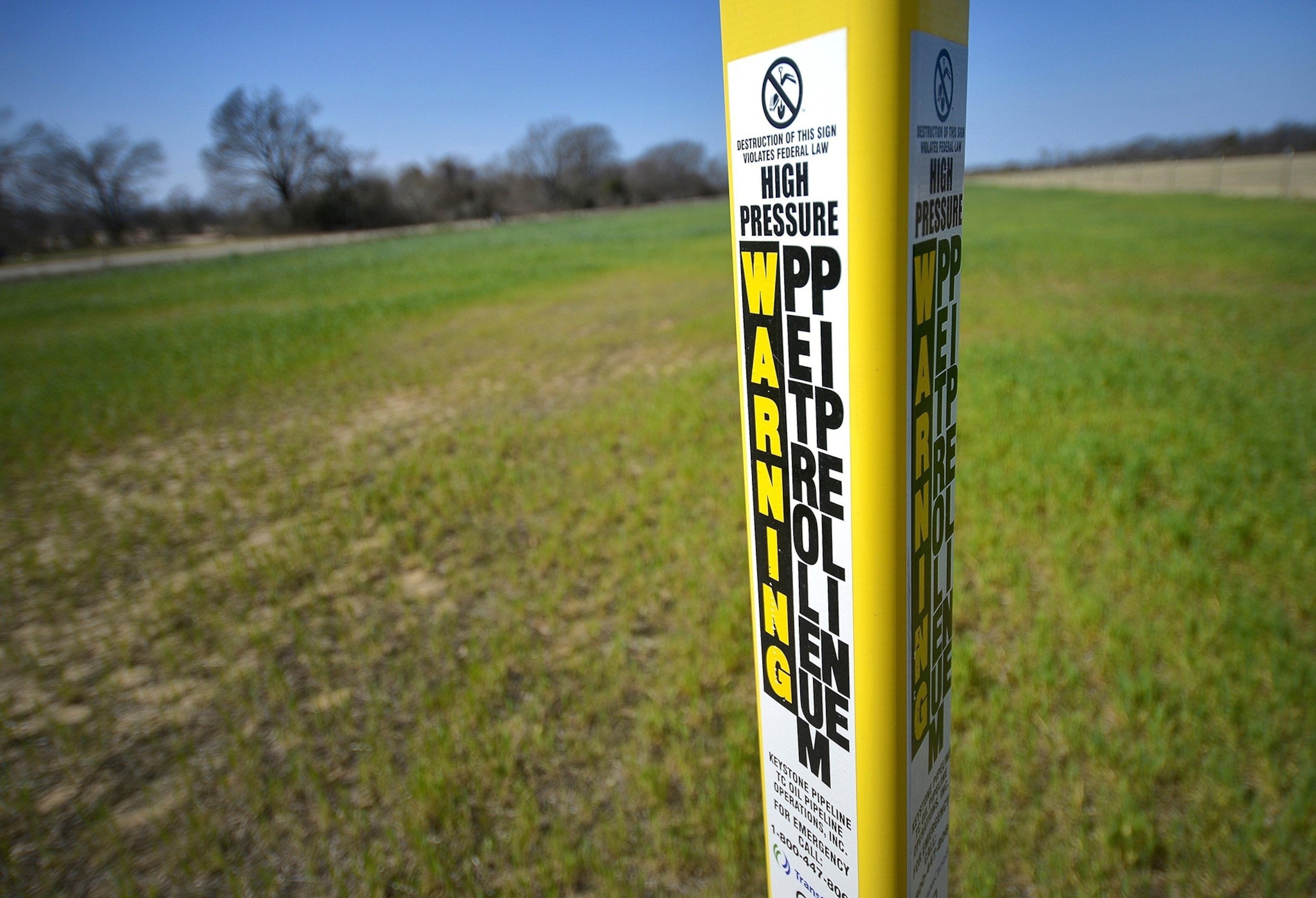 protestor's signs in front of the Capitol building.