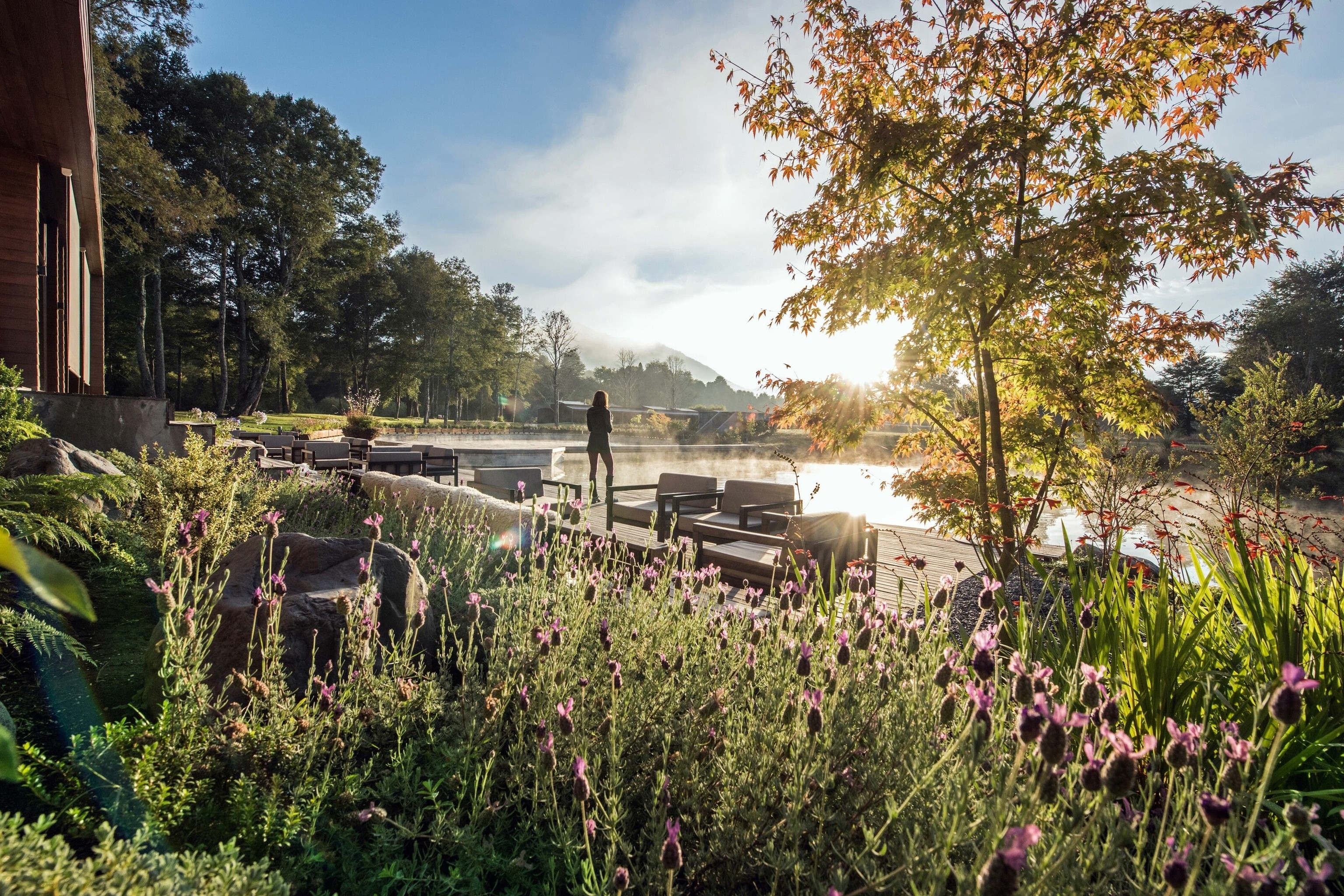 Views from a terrace with grasses and trees onto mountains