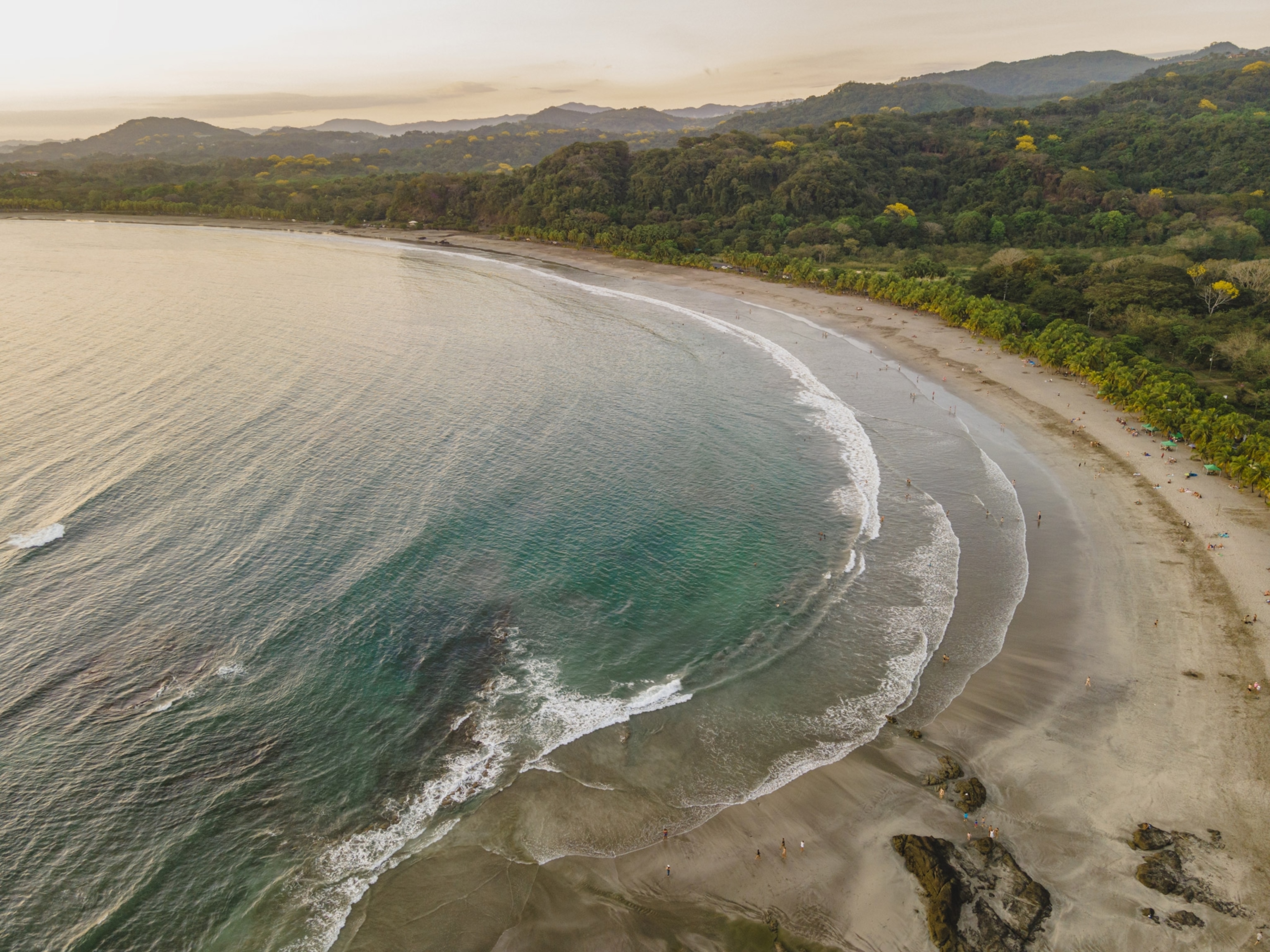 Aerial of curvedbeach with waves along forested coastline