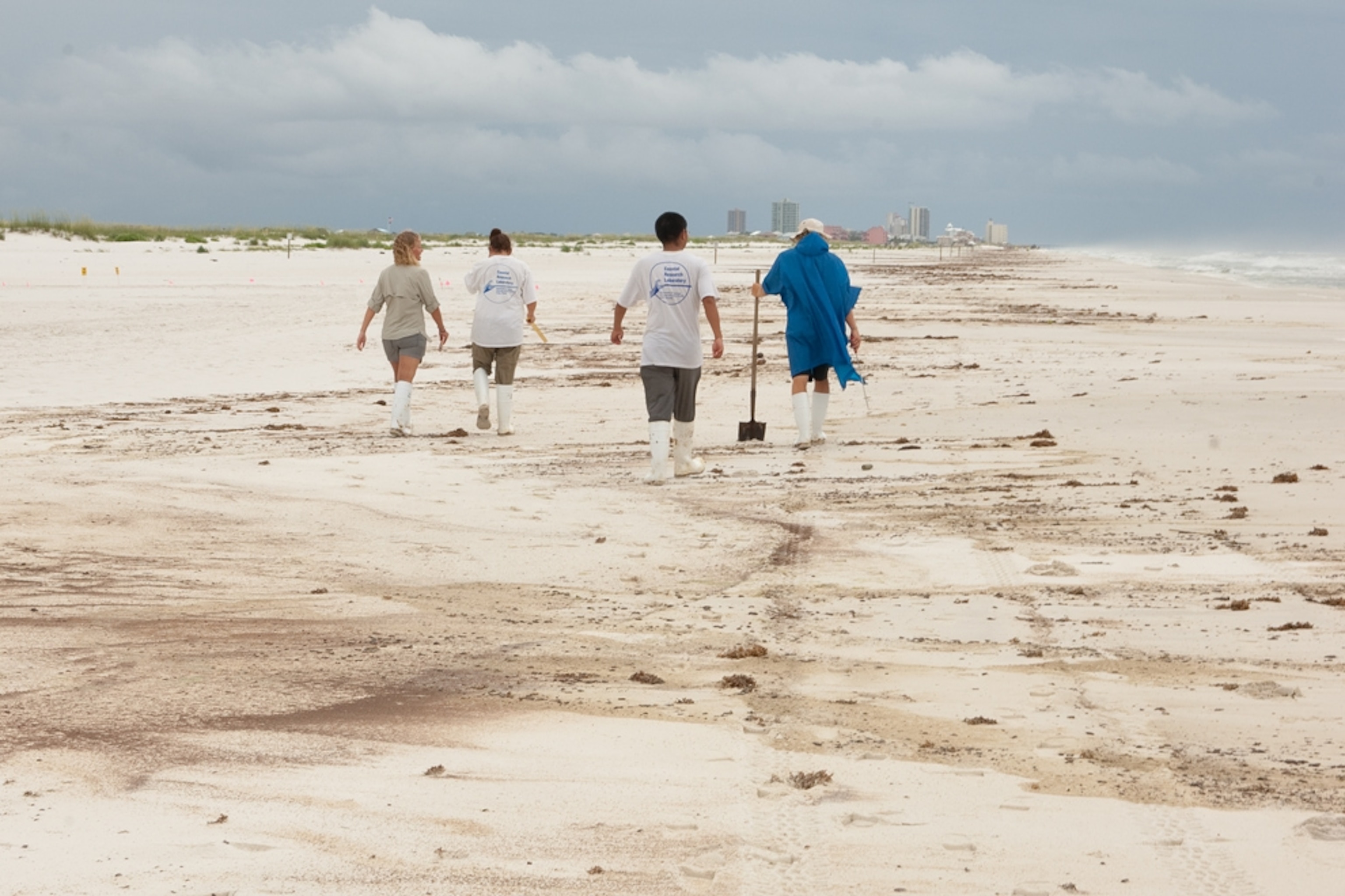 Researchers walking on Pensacola Beach