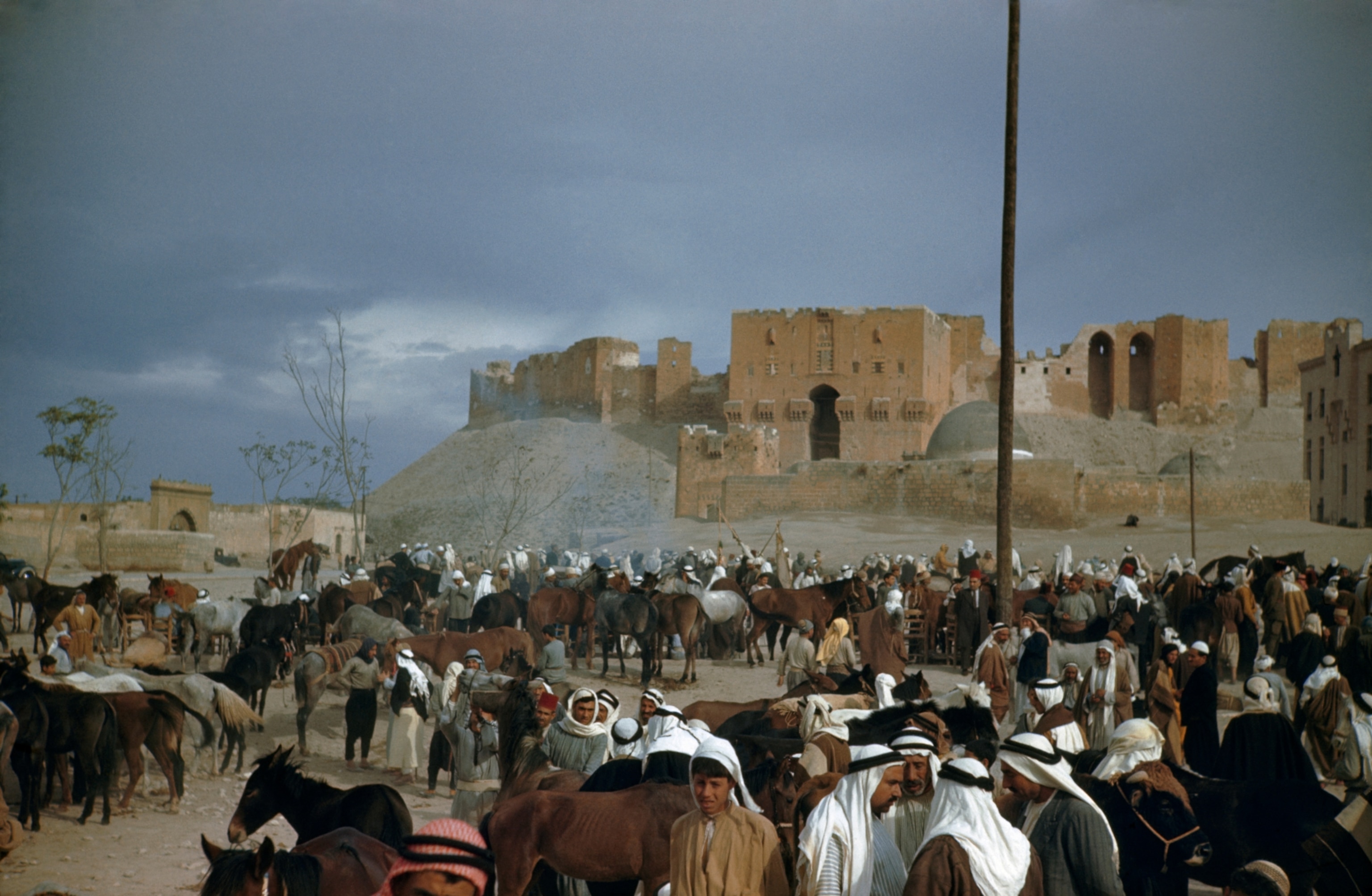 Townsmen and nomads bring goods to sell and trade at a weekly bazaar in Aleppo, Syria, 1946. Photograph by Maynard Owen Williams
