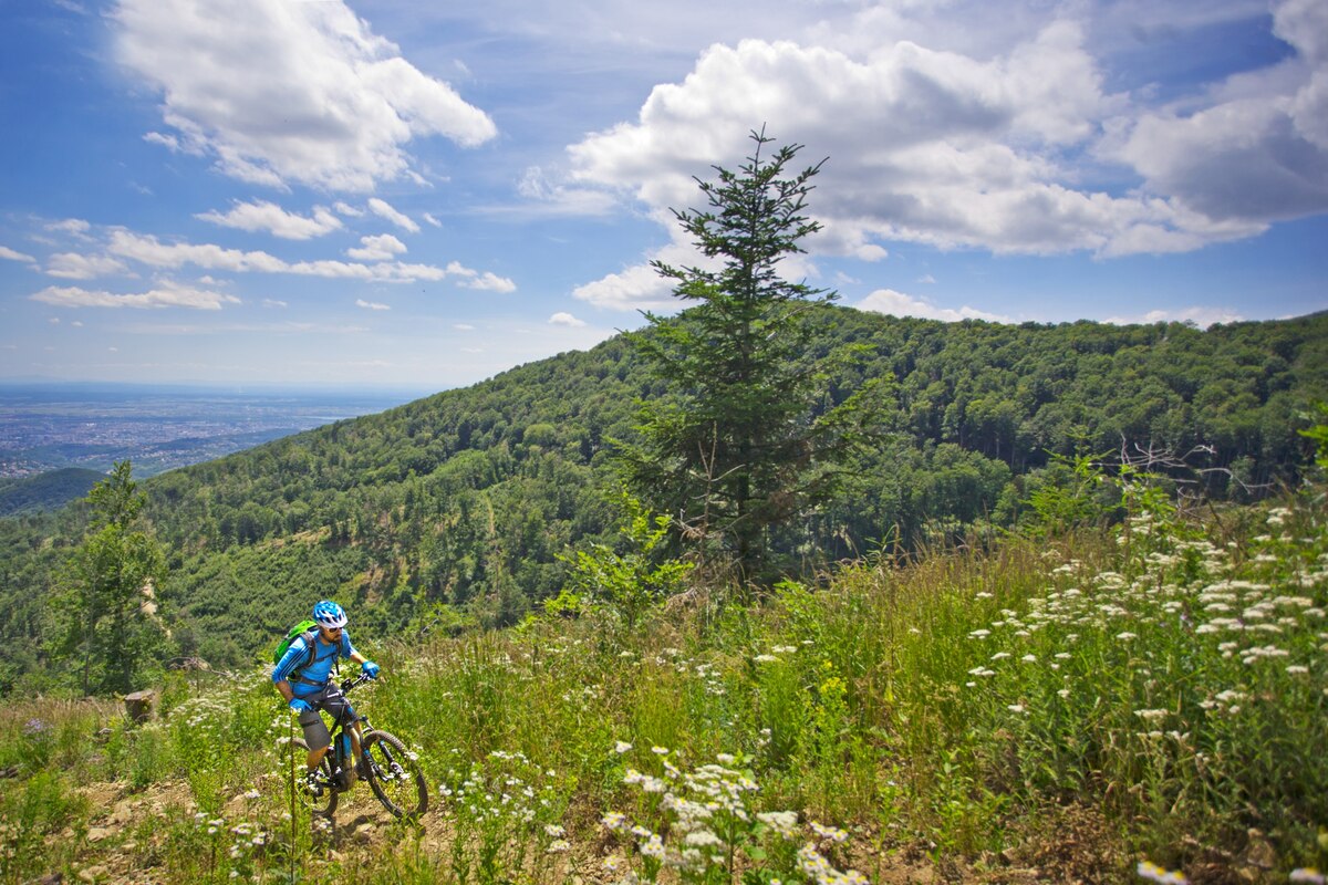 Croatia: the call of urban and nature - Vimarsana News