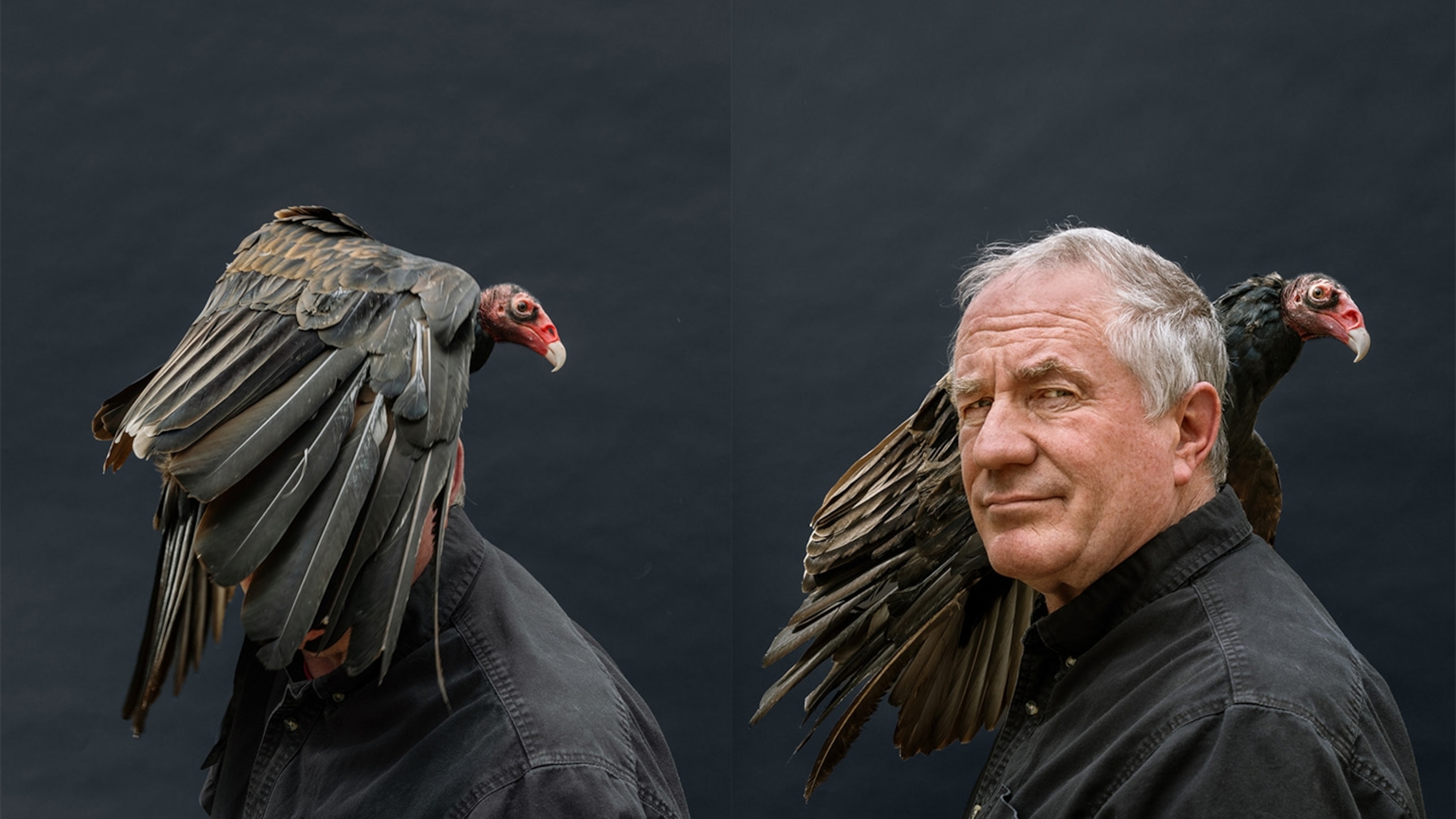 One Photographer’s Quest to Reveal Every Animal on Earth
