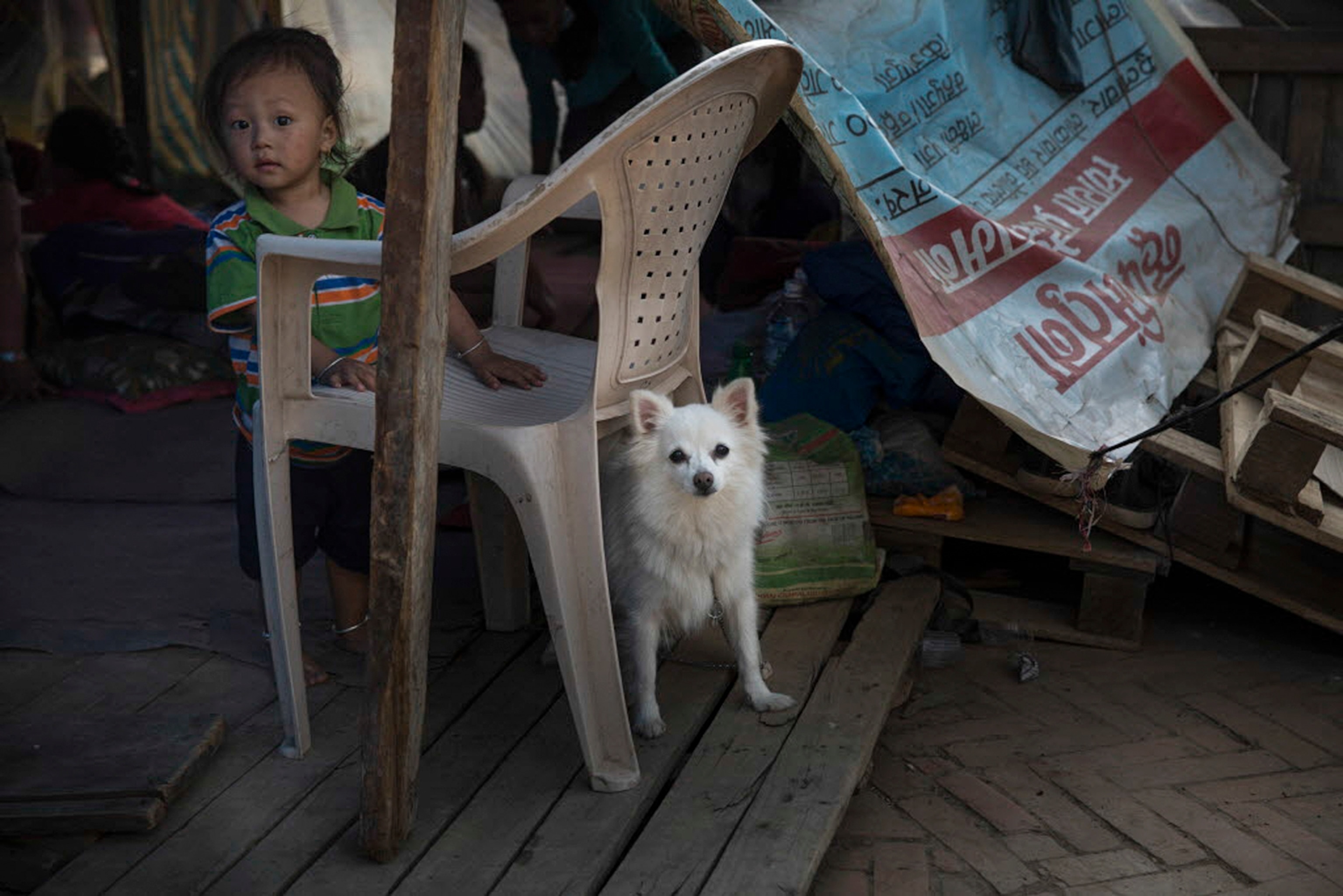 a dog and a child in a shelter in Nepal