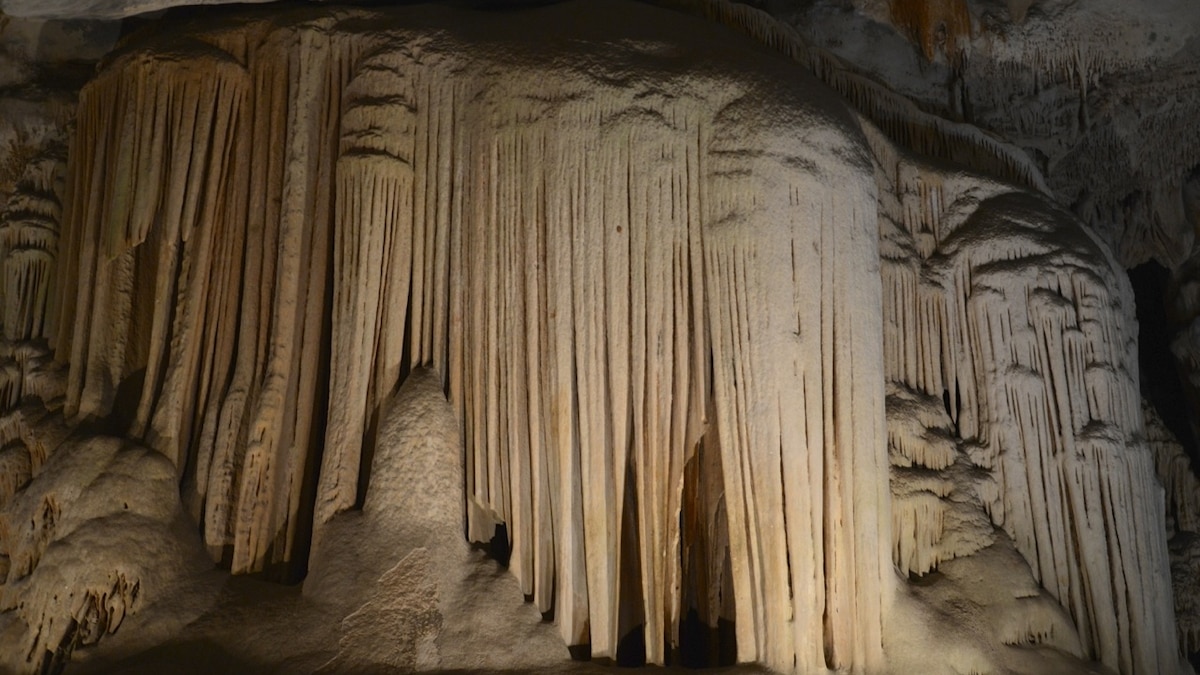 The Cave | National Geographic