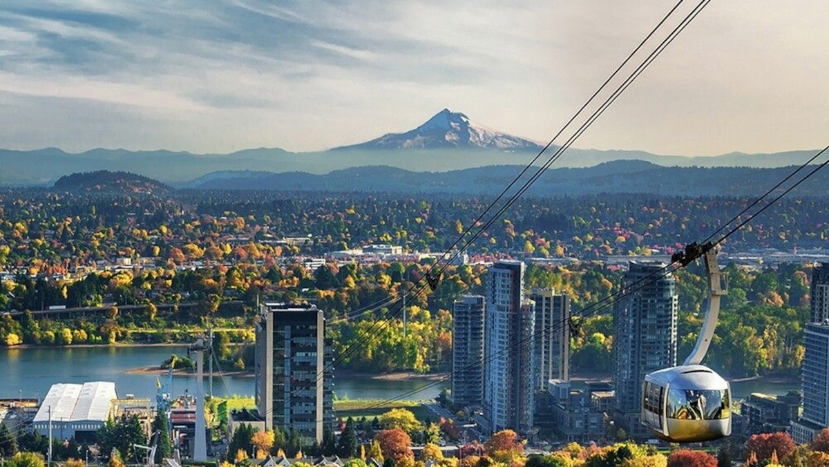 How Portland is becoming an urban hotspot for winemaking National