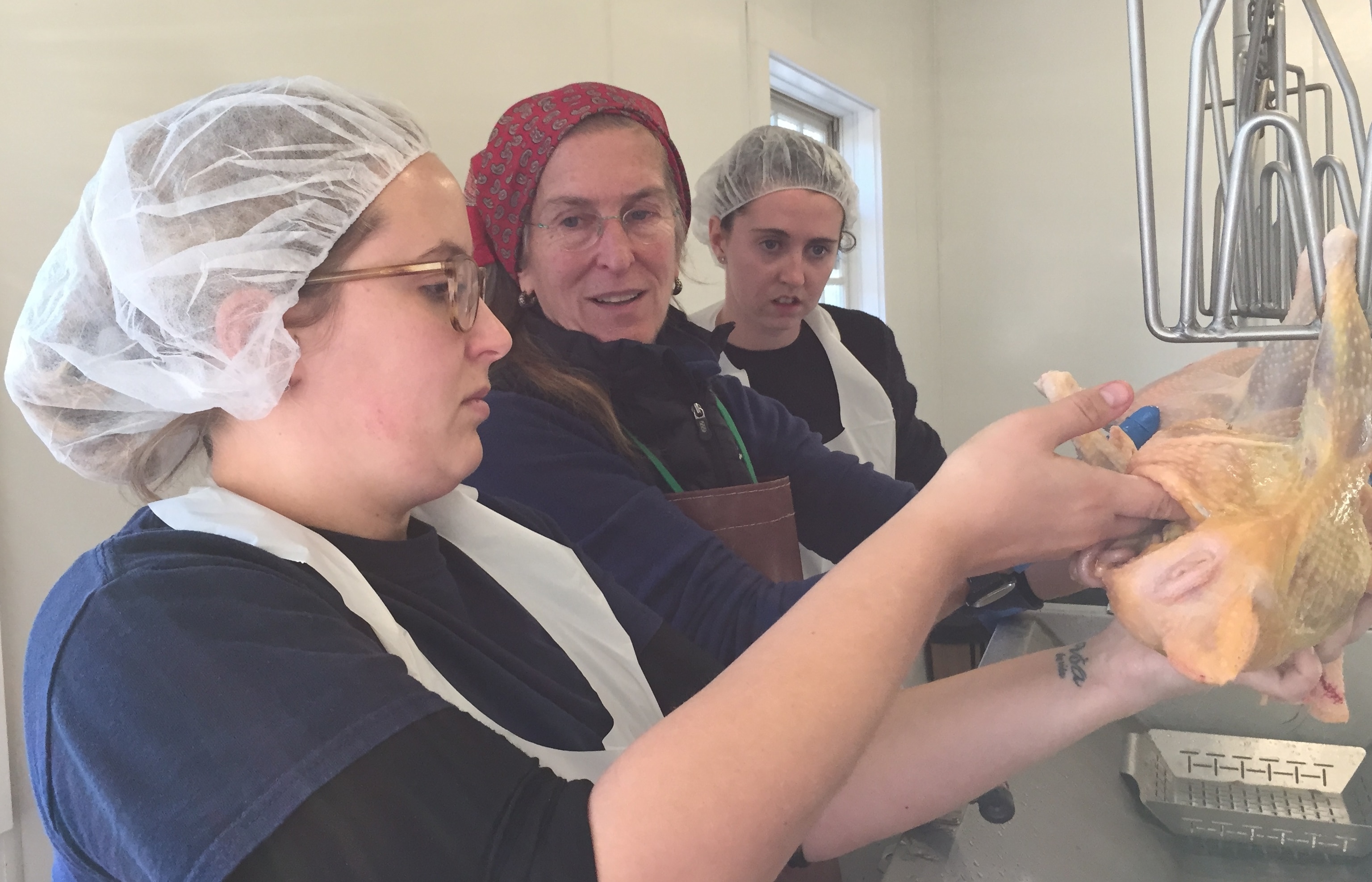 Keely Gerhold (left), a rooftop farmer in Brooklyn, NY, learns how to butcher a chicken at the Stone Barns Young Farmers Conference. Photograph by Maryn McKenna