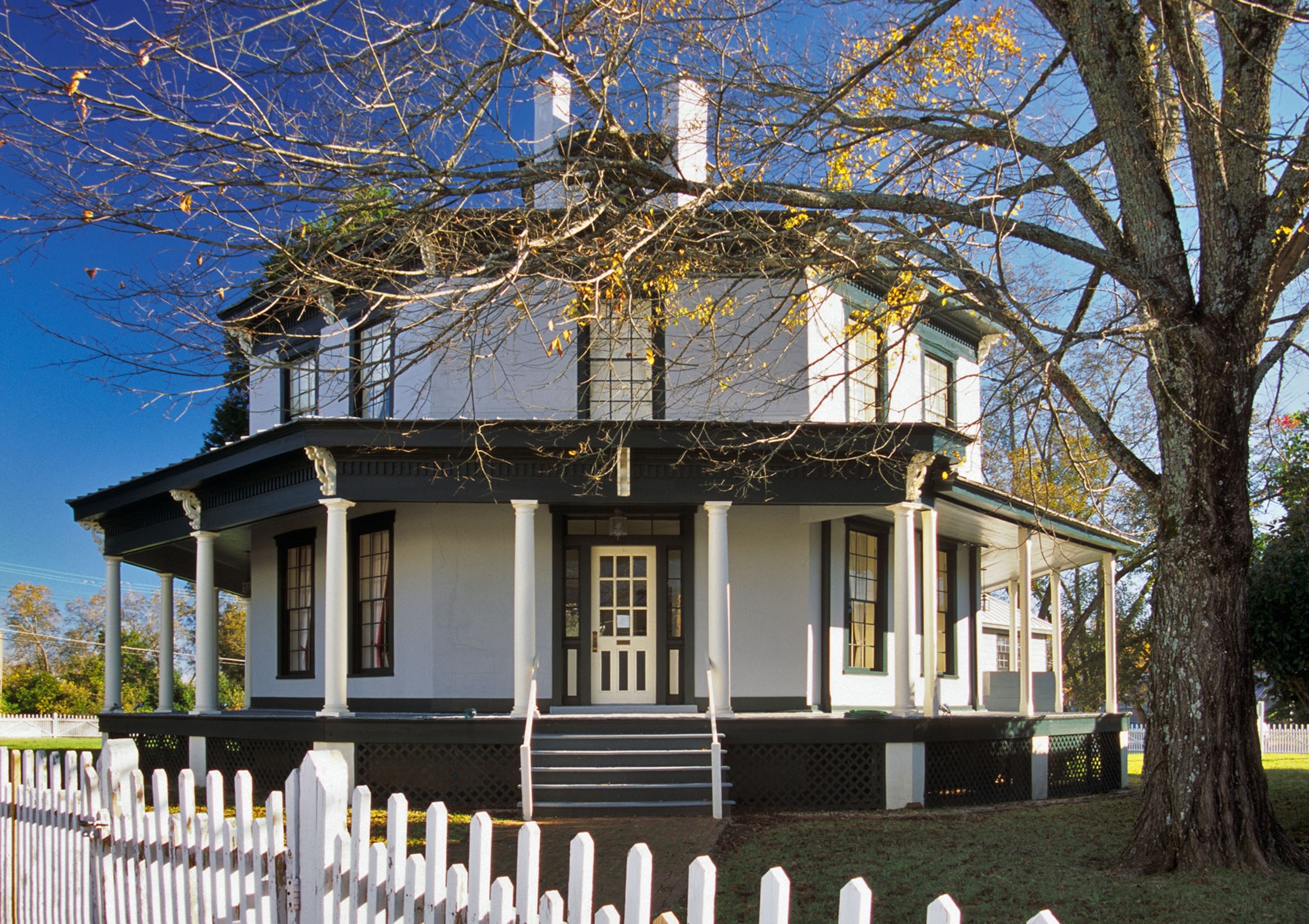 the Octagon House