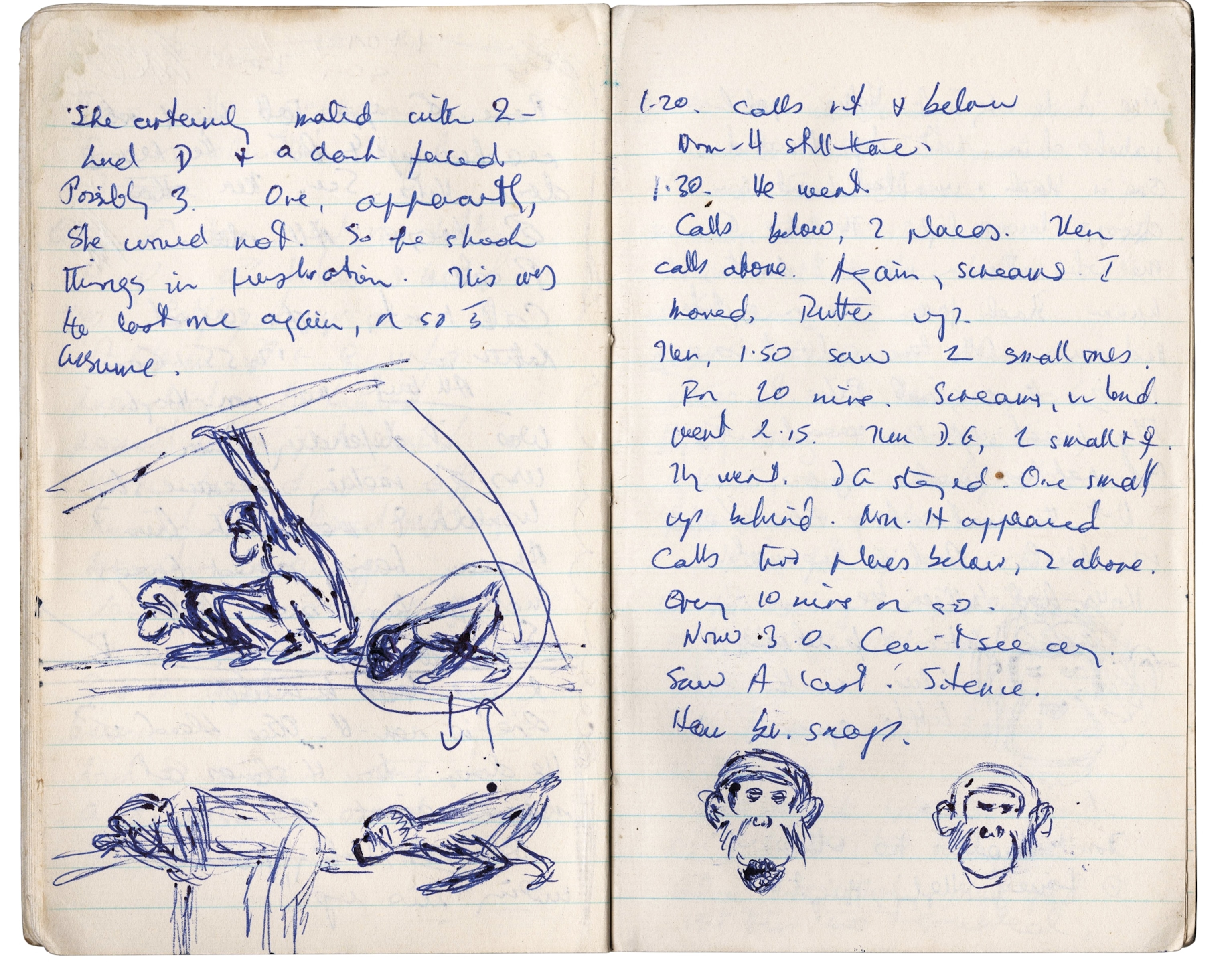 Notebook page with notes and sketches.