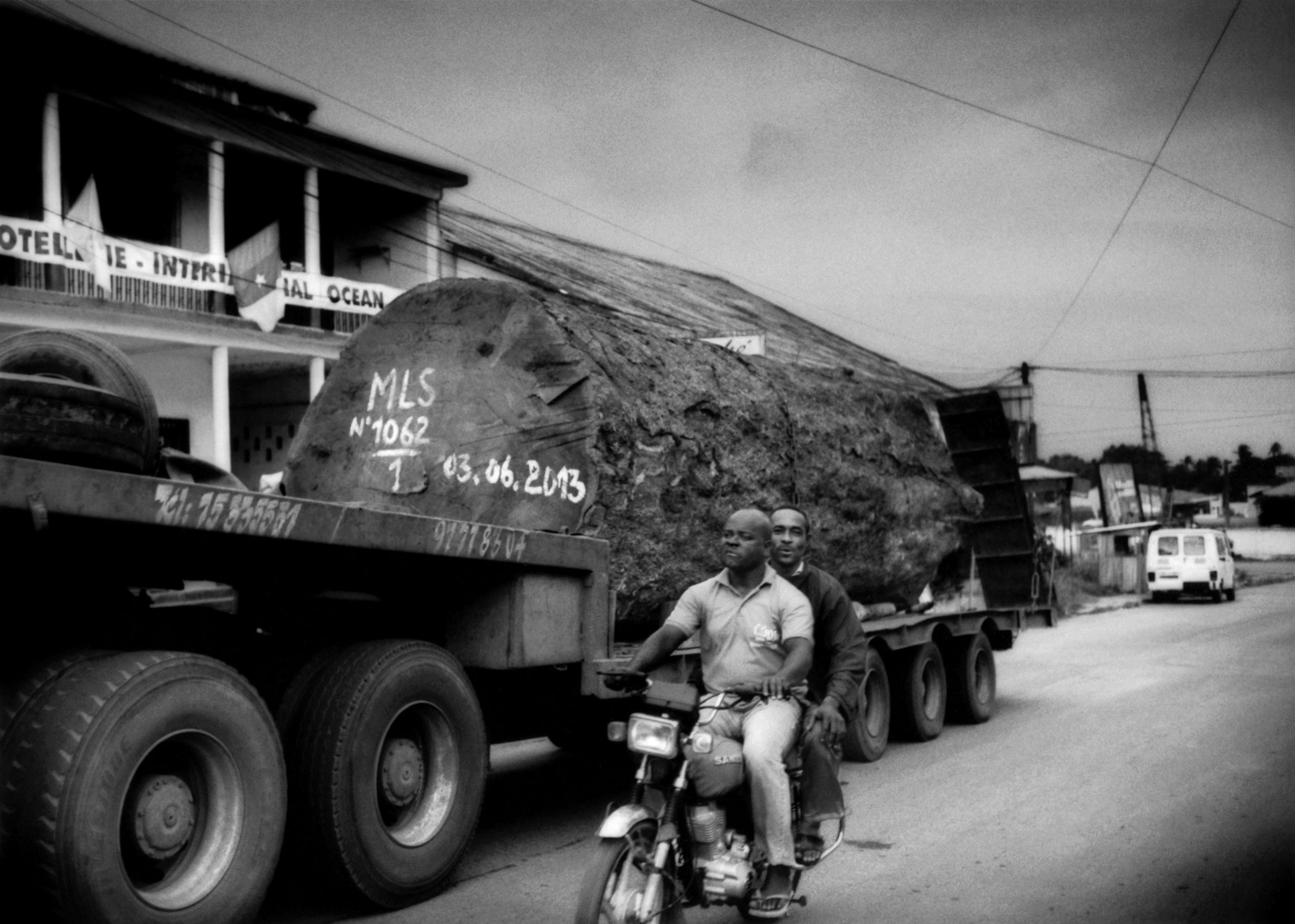 a large Cameroonian rain forest tree transported on the back of a truck