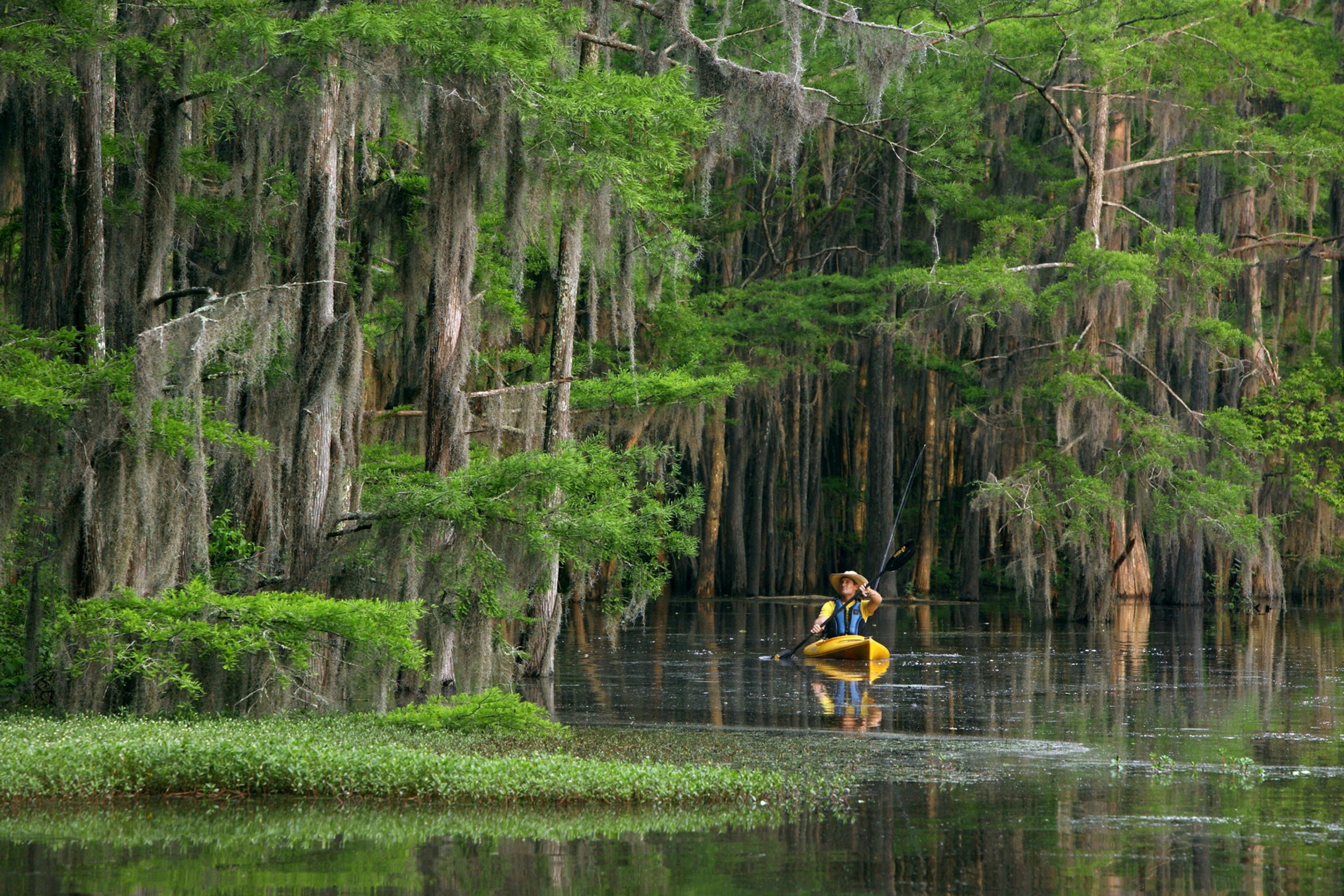 A person kayaks in between two trees