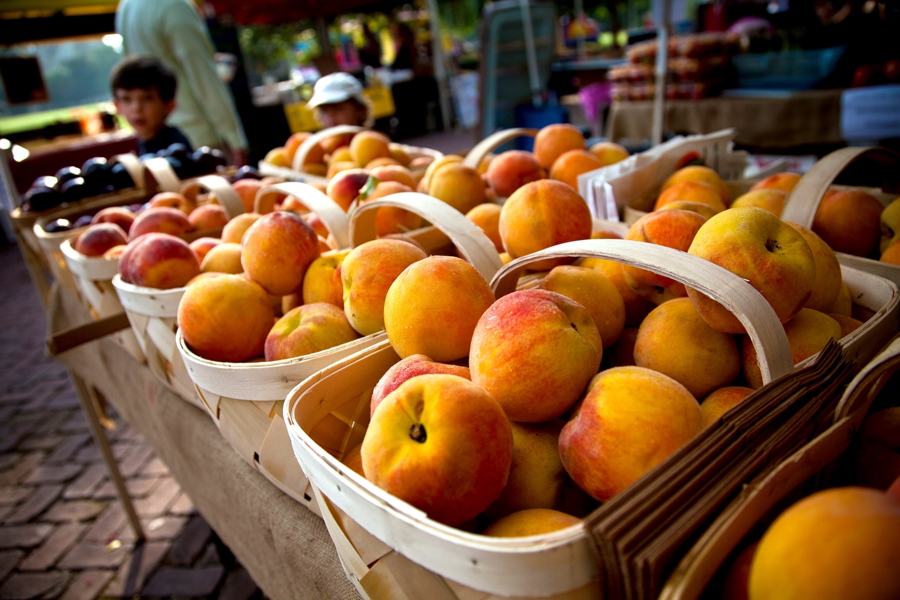 peaches at a farmers market in Marion Square in Charleston, South Carolina