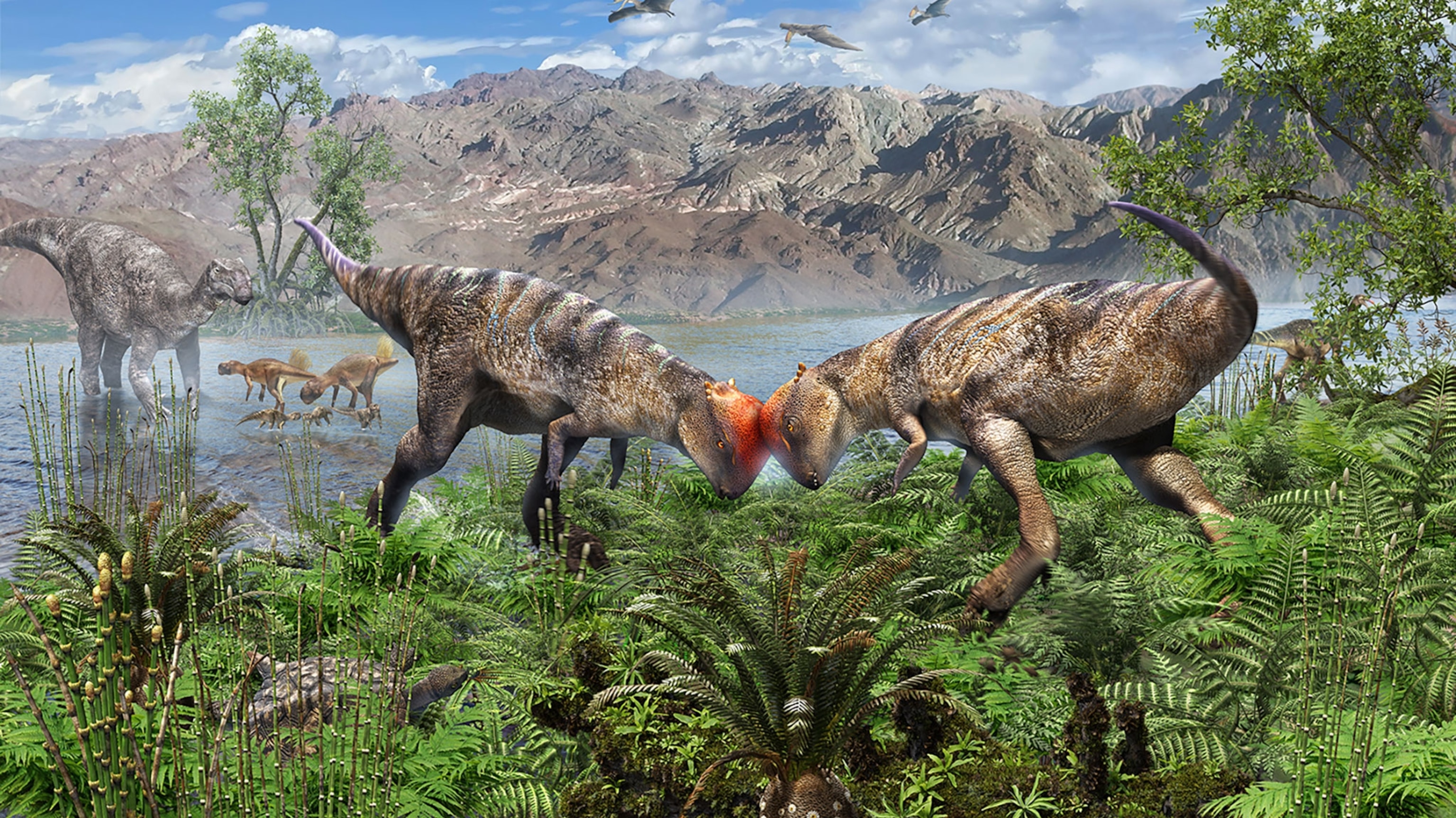Dome-headed dinosaurs are rare. Scientists just found the most remarkable one yet.