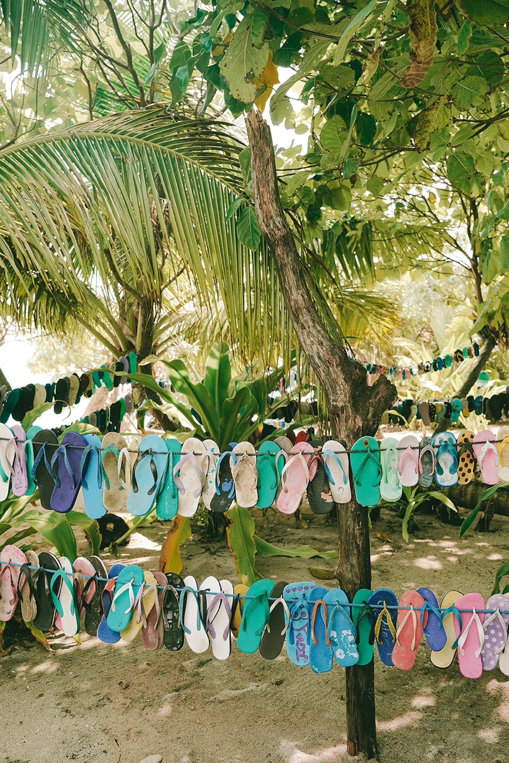 A tropical beach with palm trees and lines of flip flops hung in between.