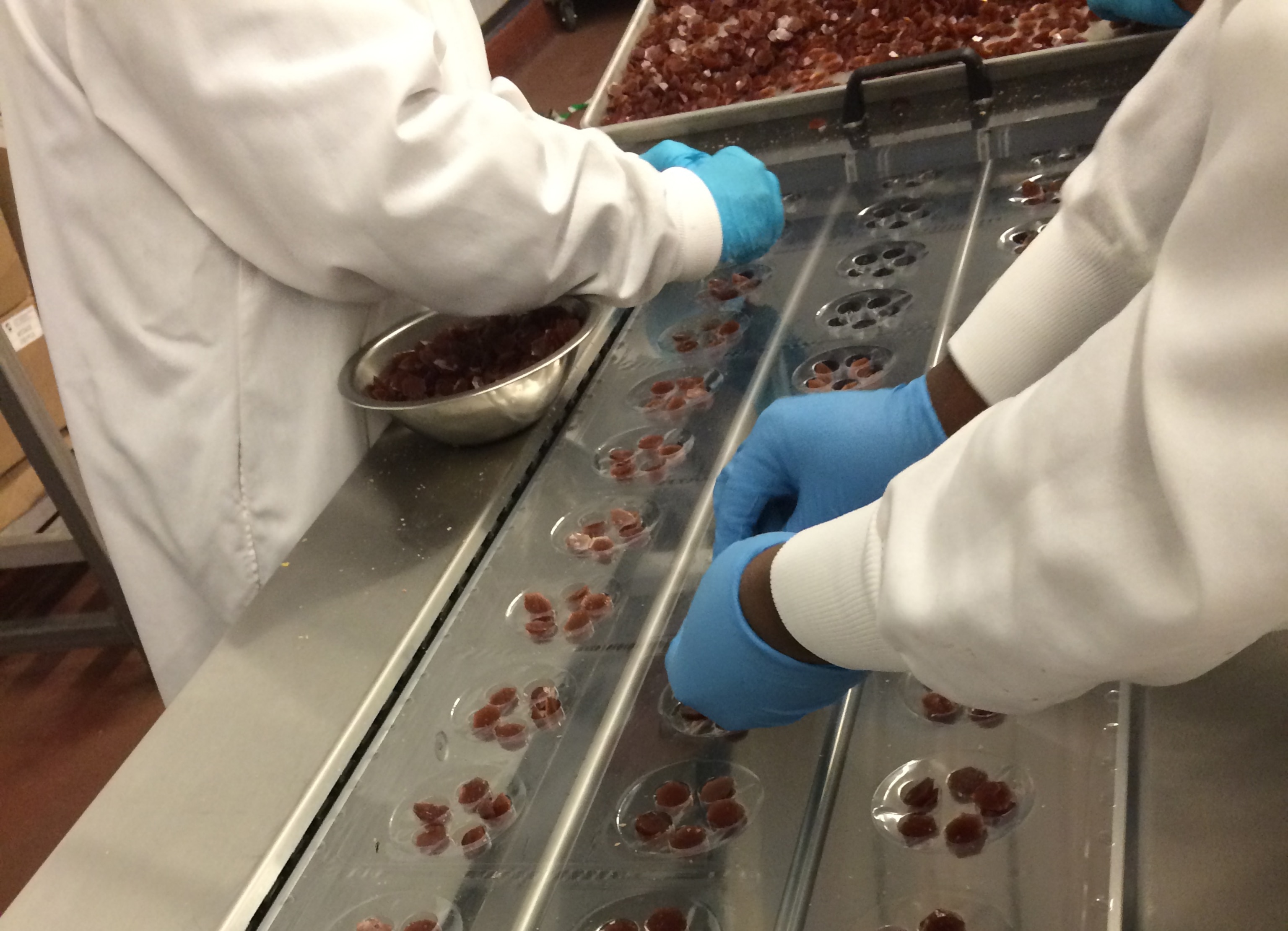 Photograph by Mary Beth Albright