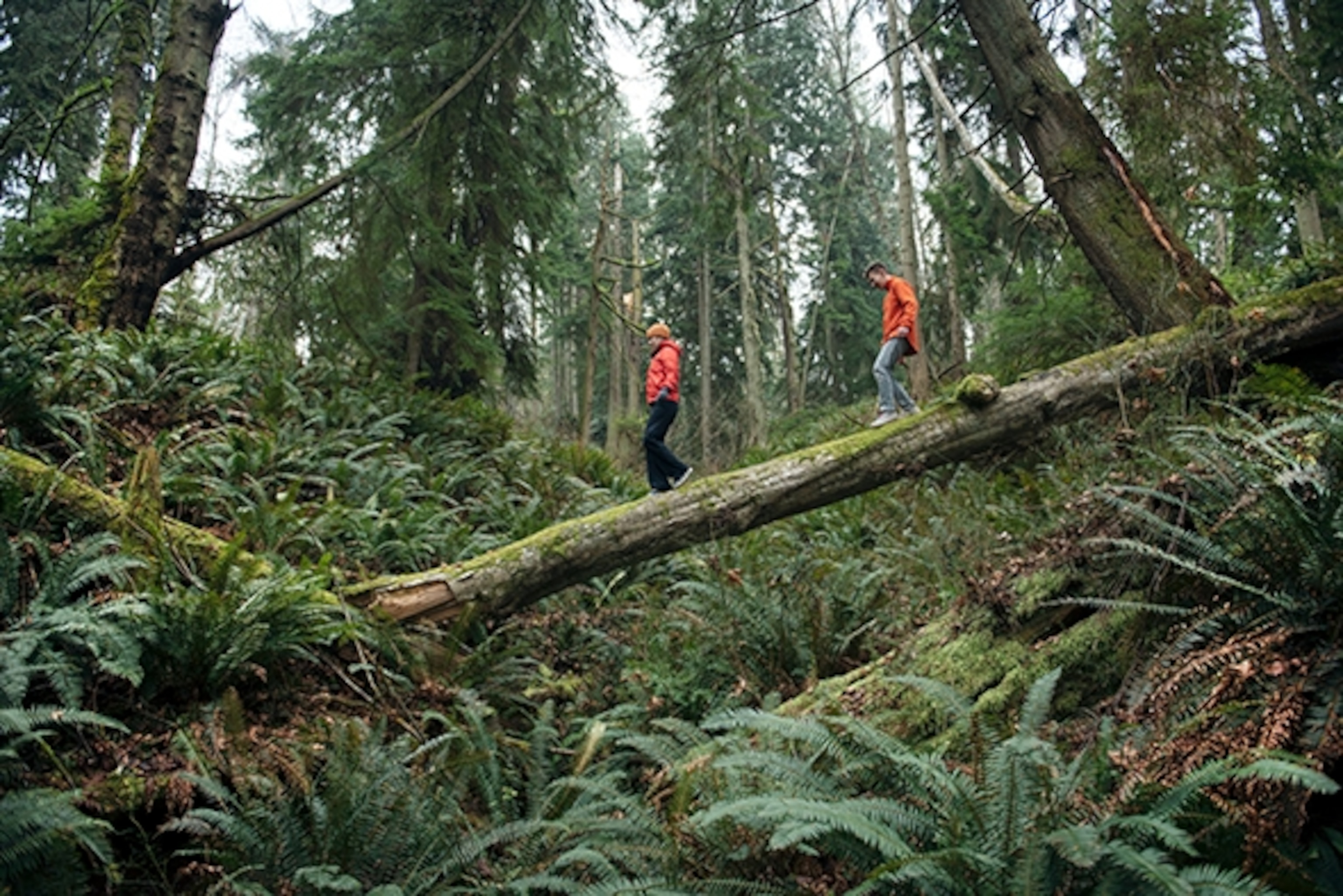 Walking in the coastal forest on Blake Island, Washington; Photograph by Max Lowe