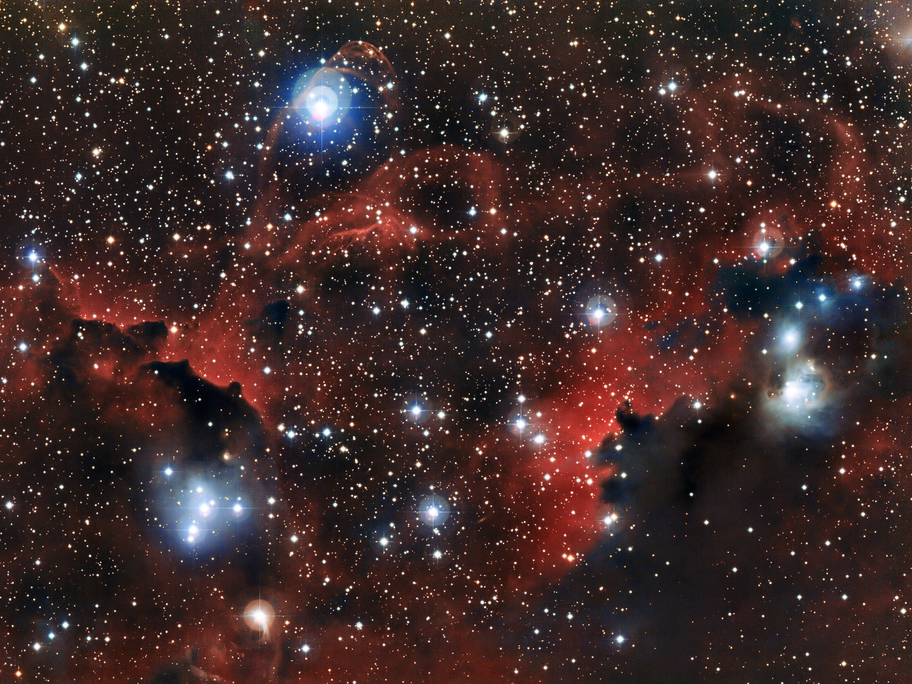 the Seagull nebula