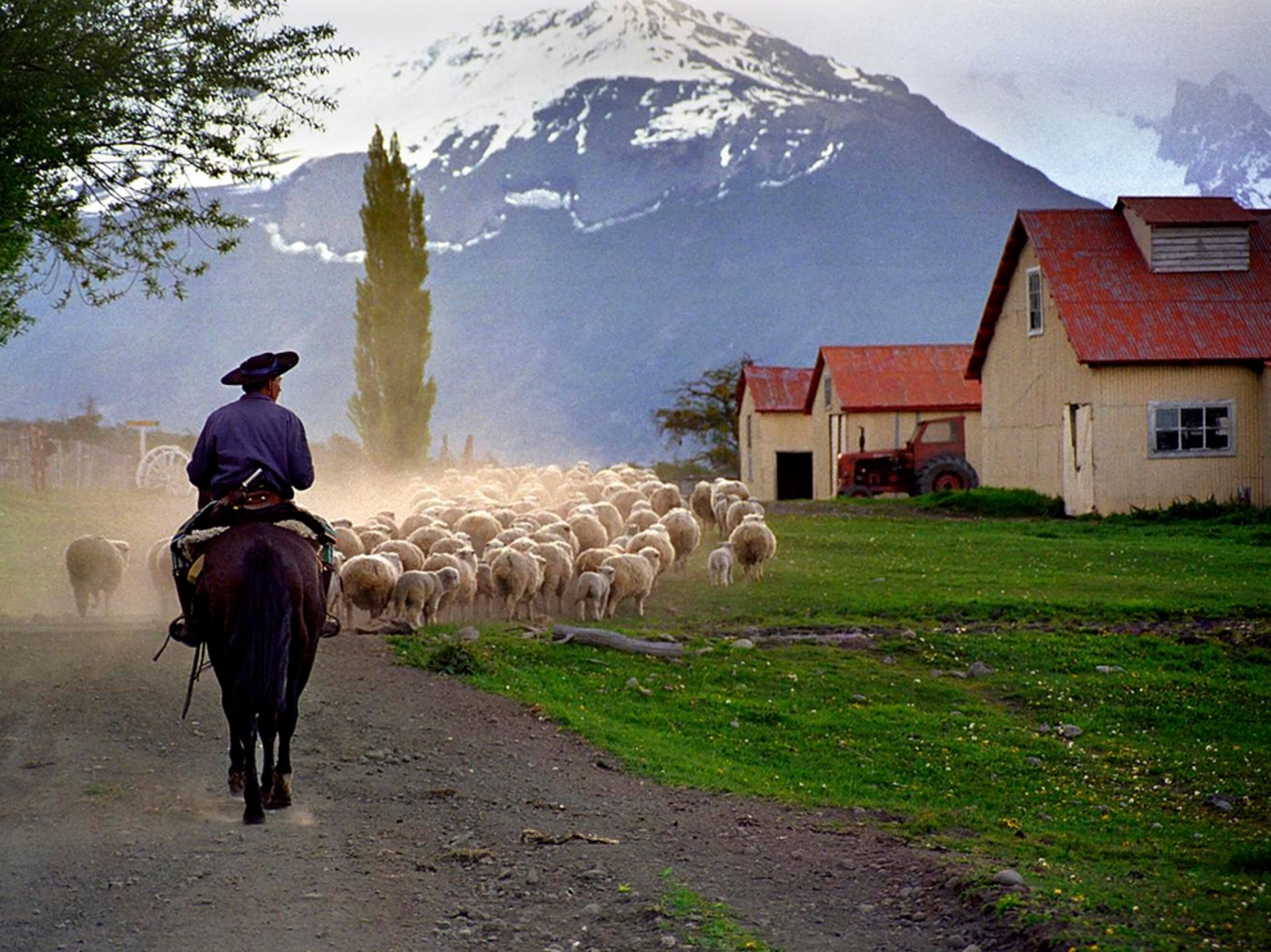 Nibepo Aike herder, Argentina