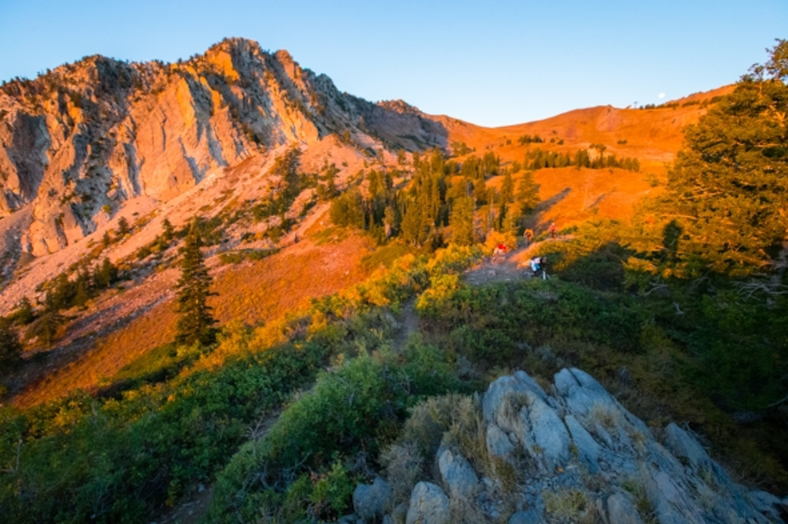 Photograph by Chad Spector