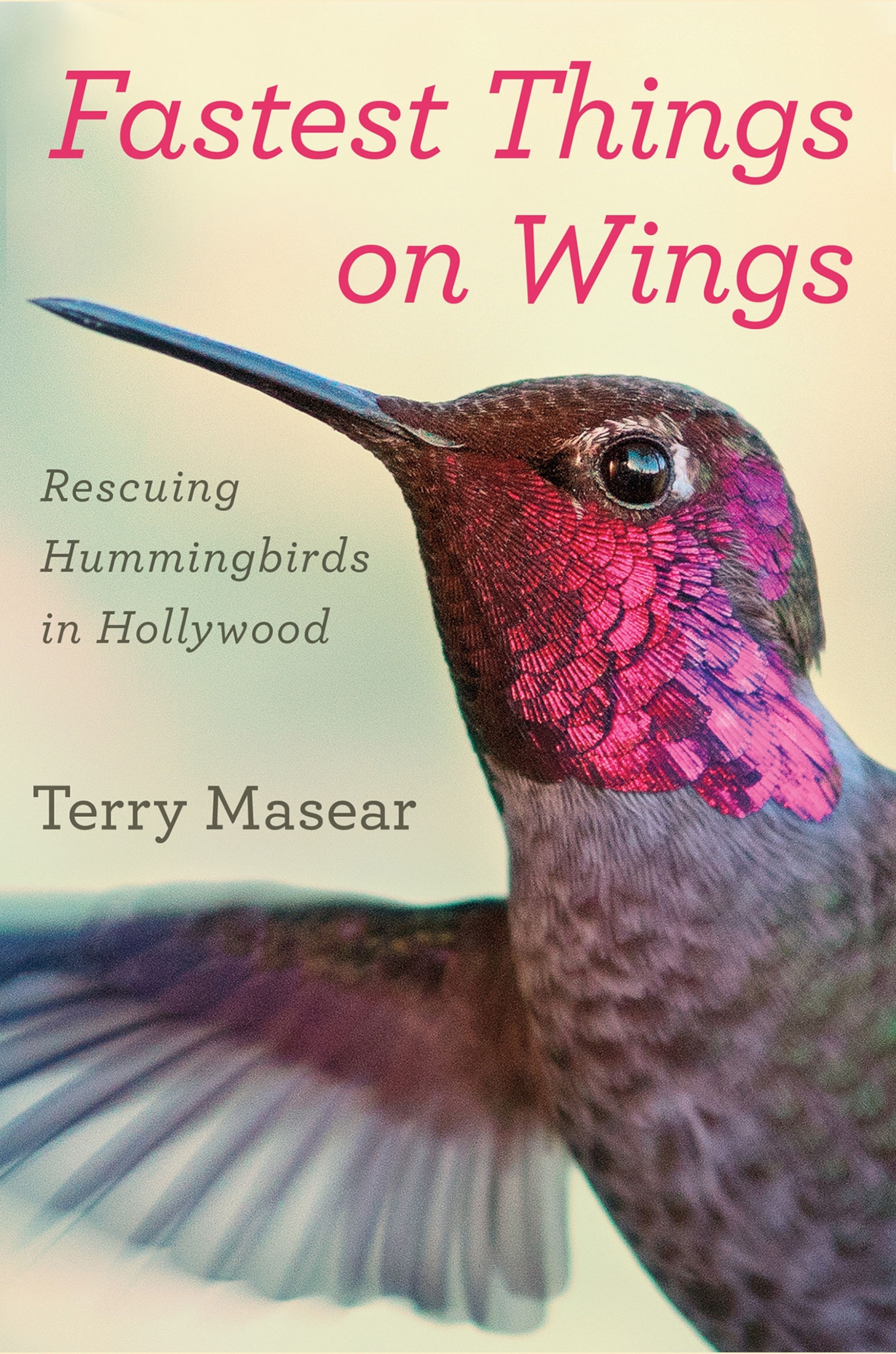 cover of Fastest Things on Wings