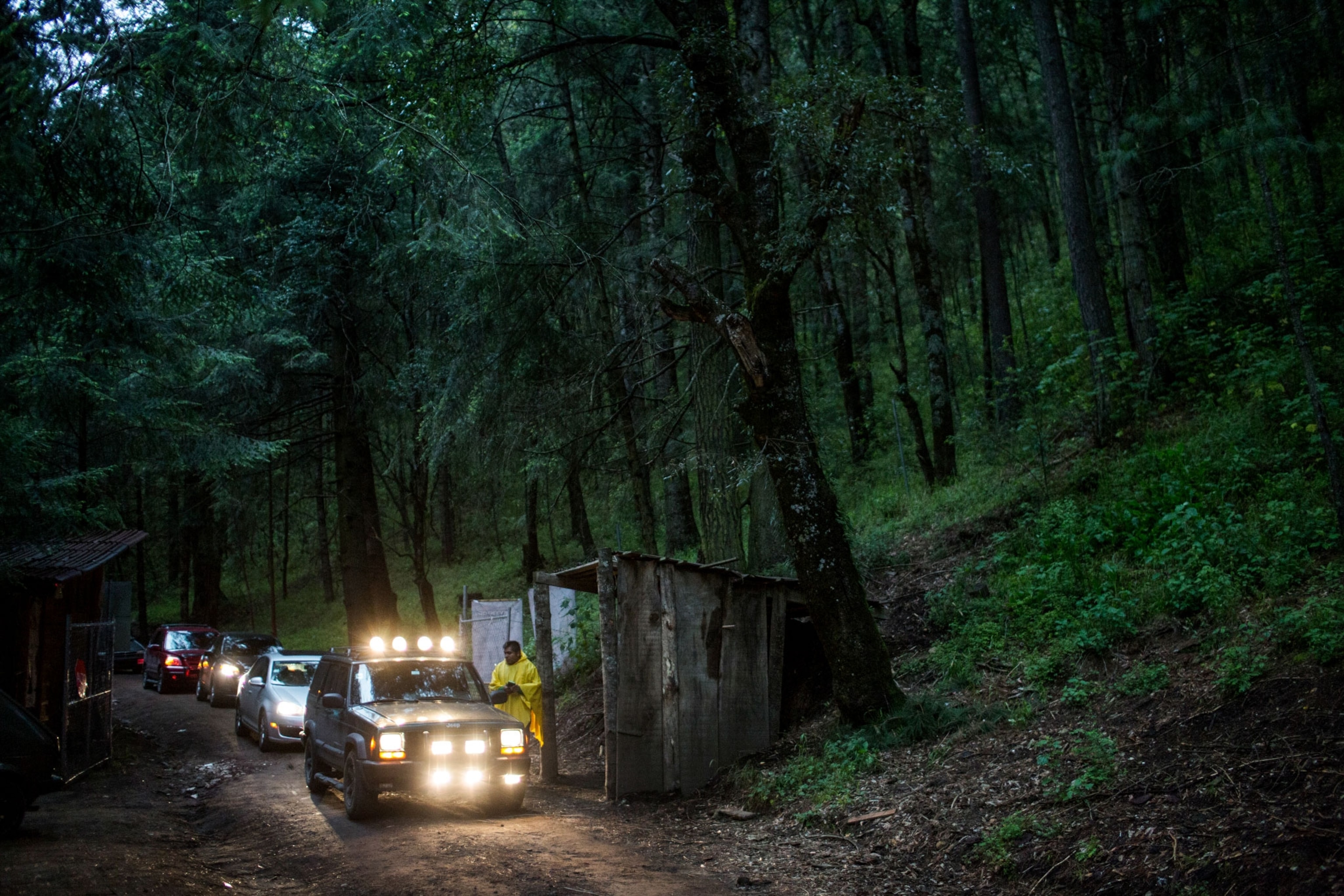 How Fireflies Are Keeping This Tiny Mexican Town Alive