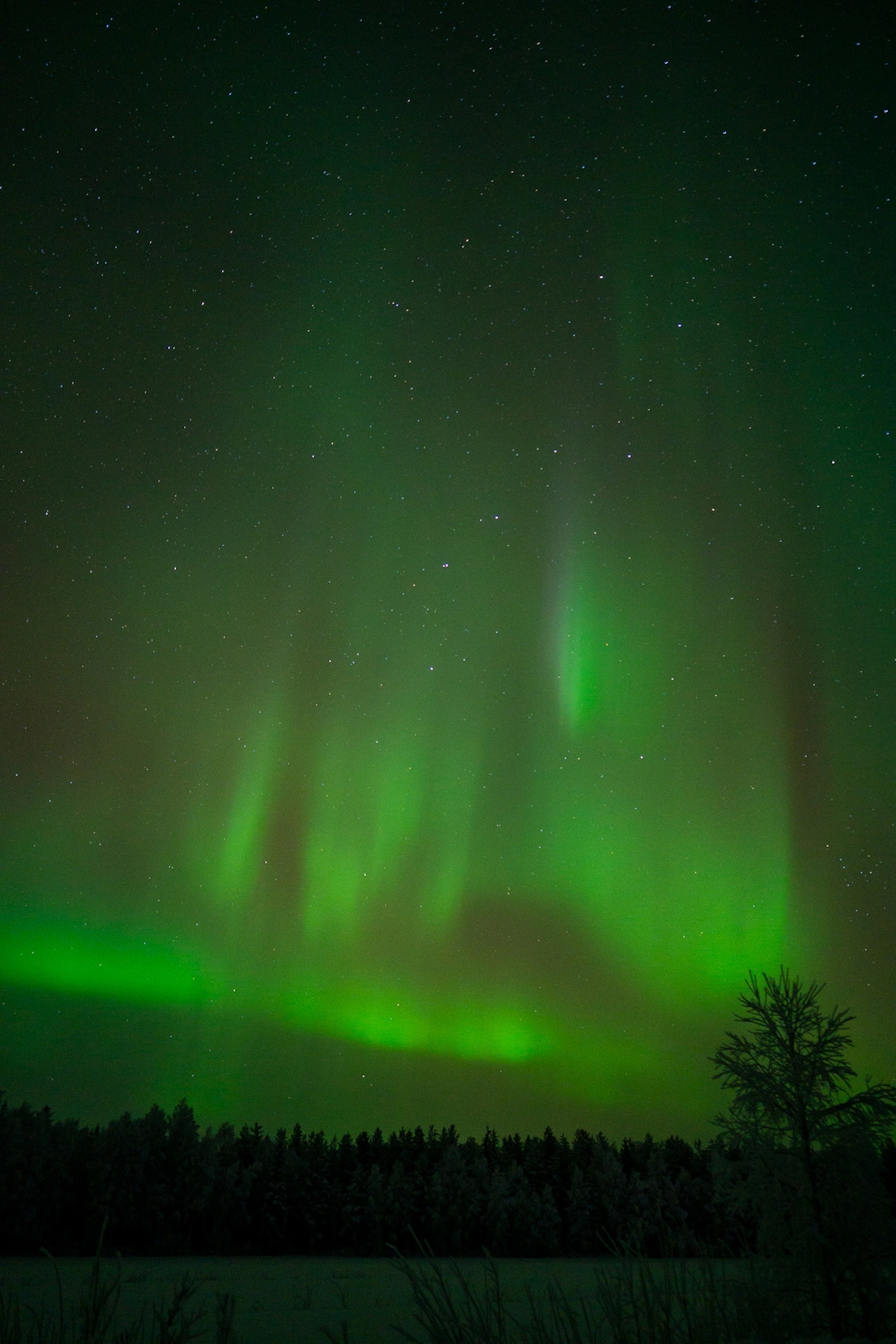 northern lights in northern finland