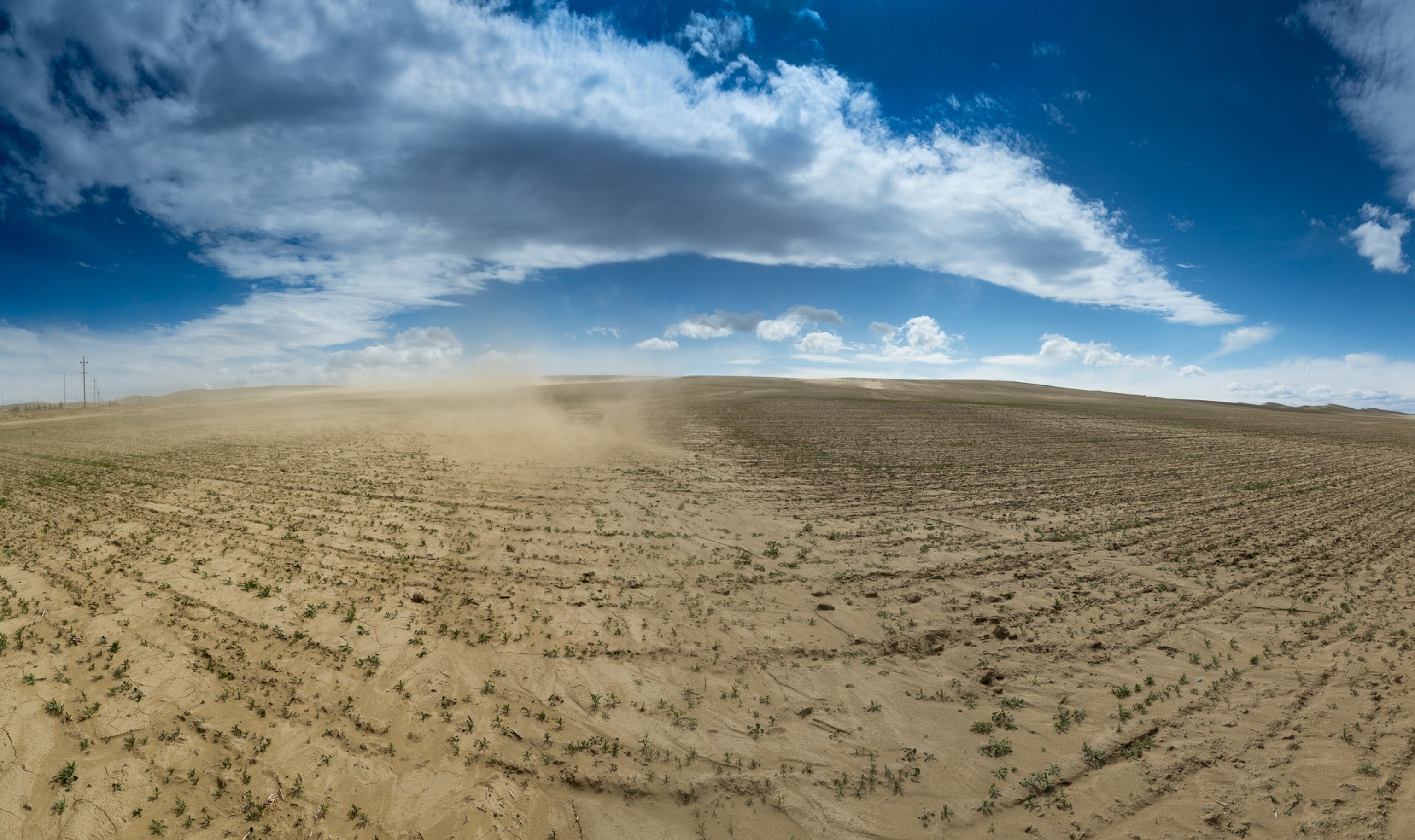 dusty, fallow land near Avenal, California.