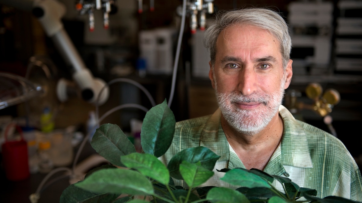 Daniel Nocera Maverick Inventor of the Artificial Leaf Innovators
