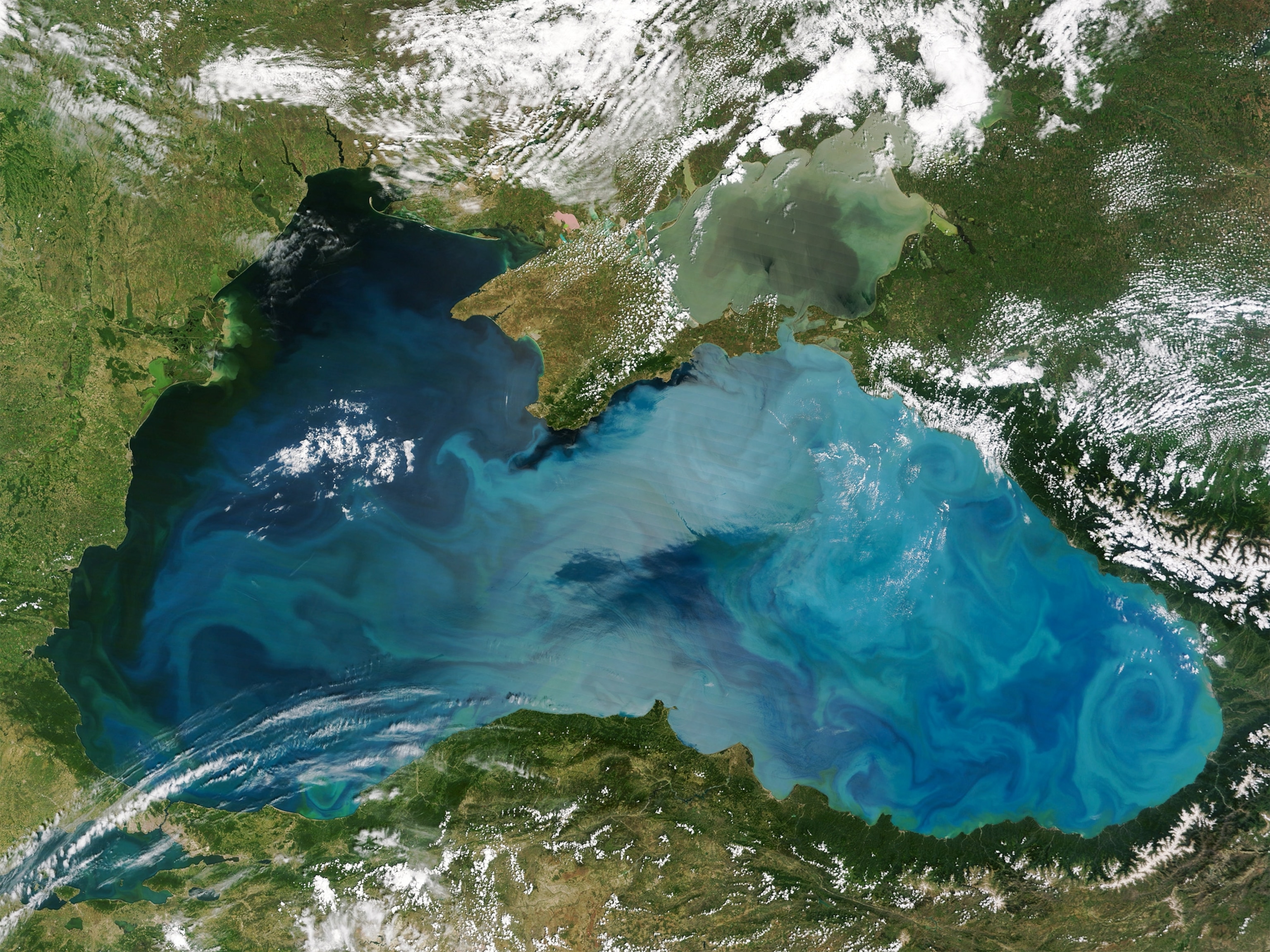 Black Sea picture: plankton bloom seem by satellite