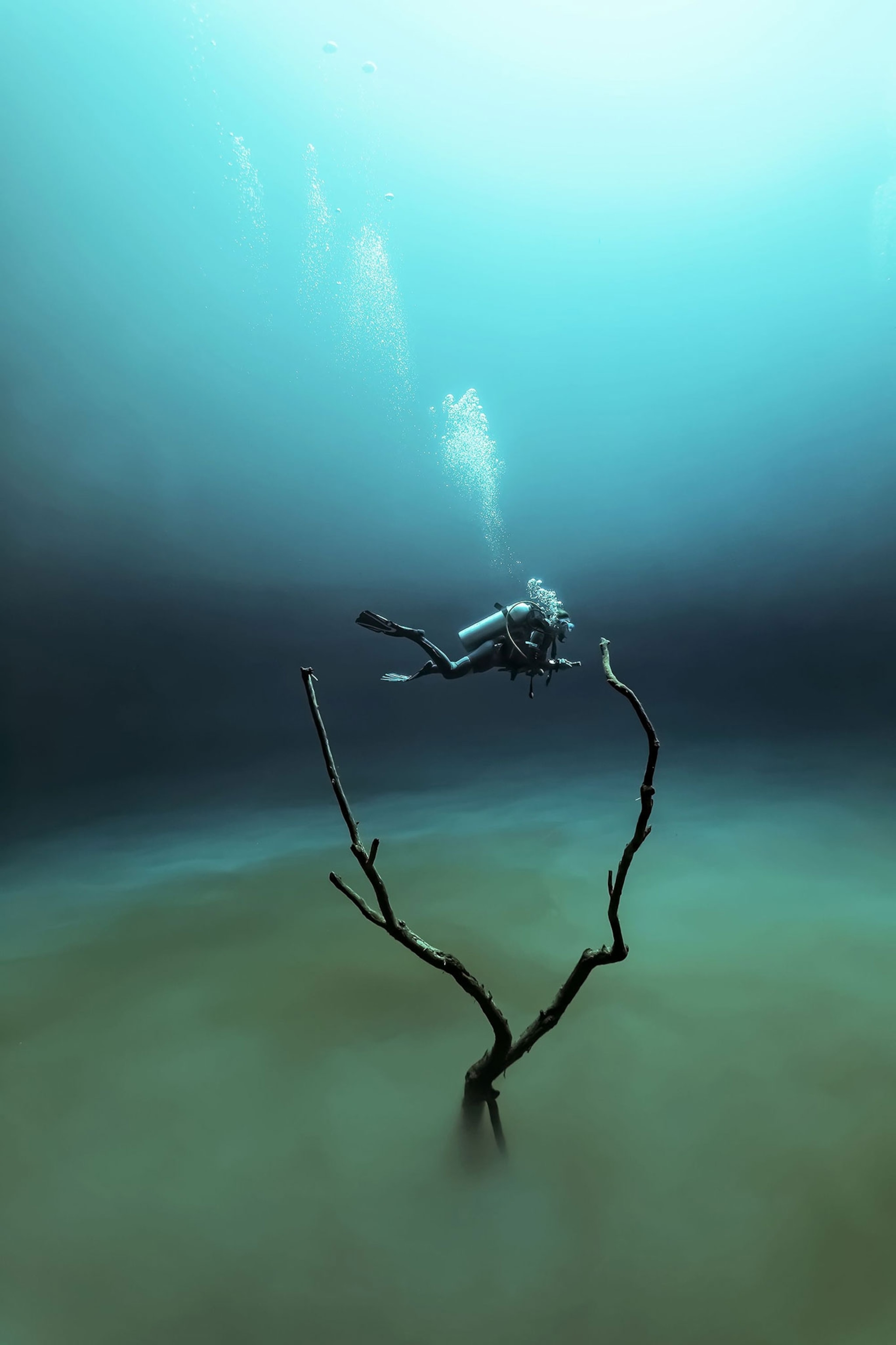 Stunning Underwater Photography By Scuba Steph - t48sc49