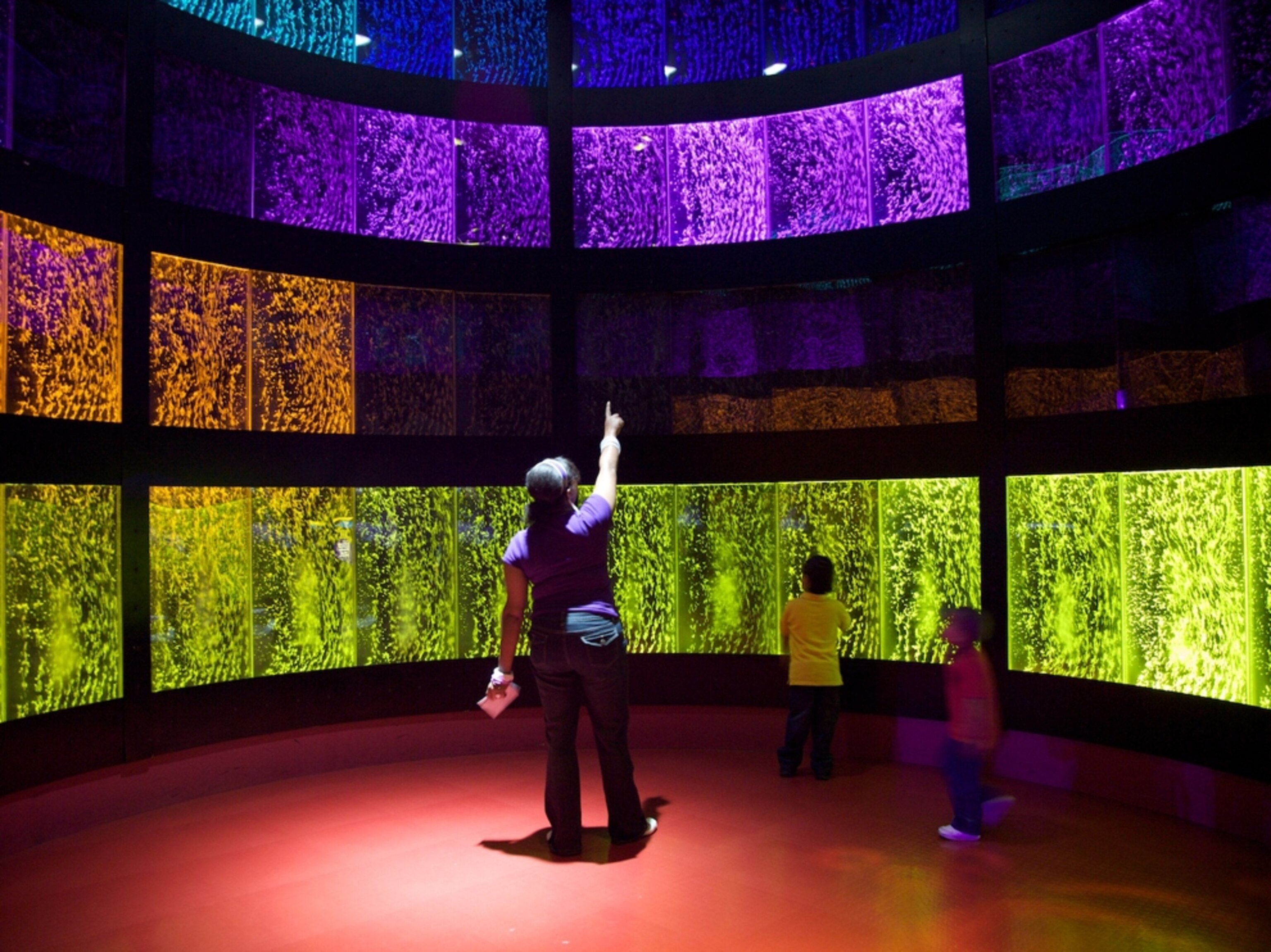 Museum of Science and Industry