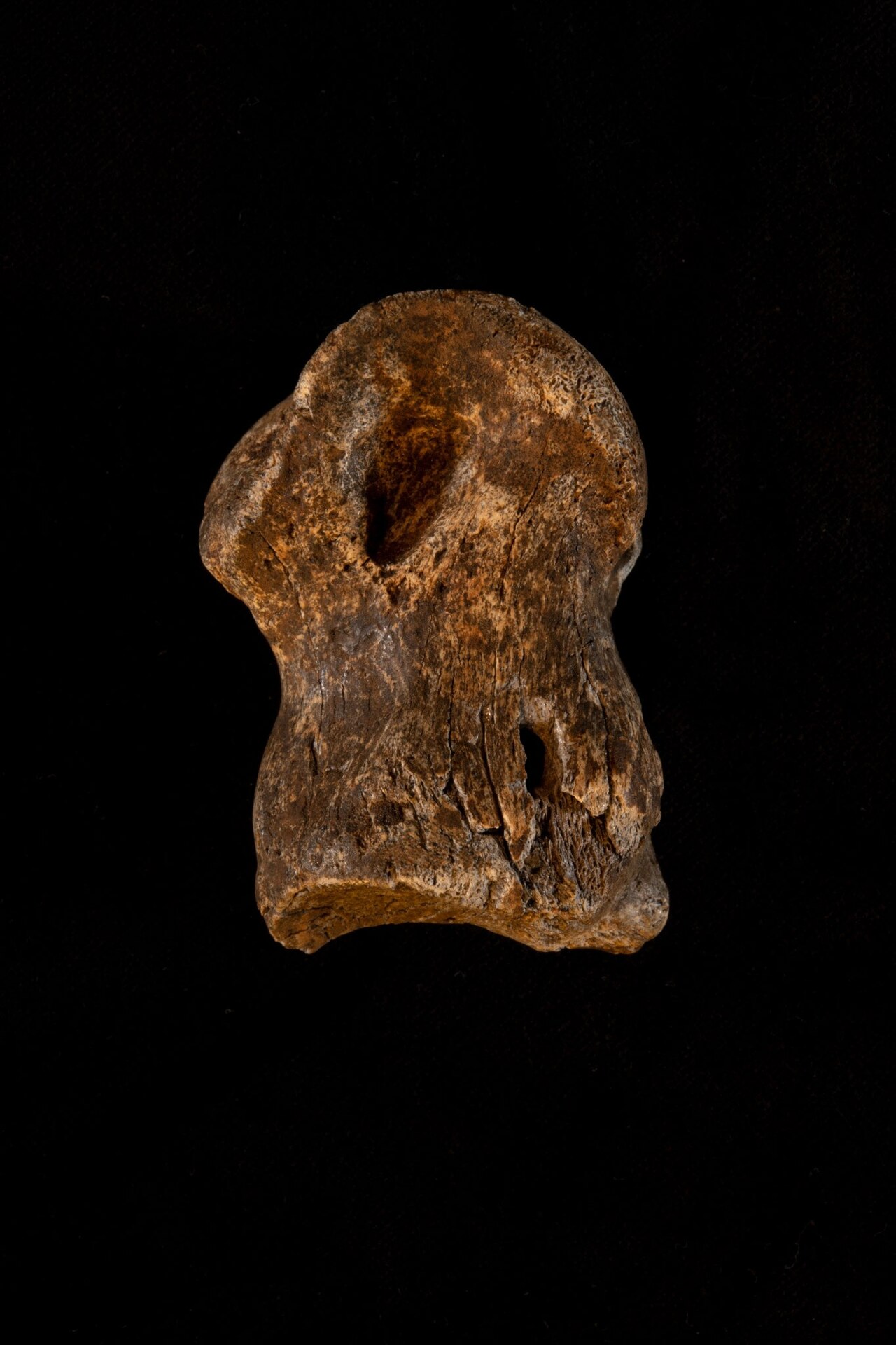 02-unicorn-cave-neathdertal-carving.jpg?