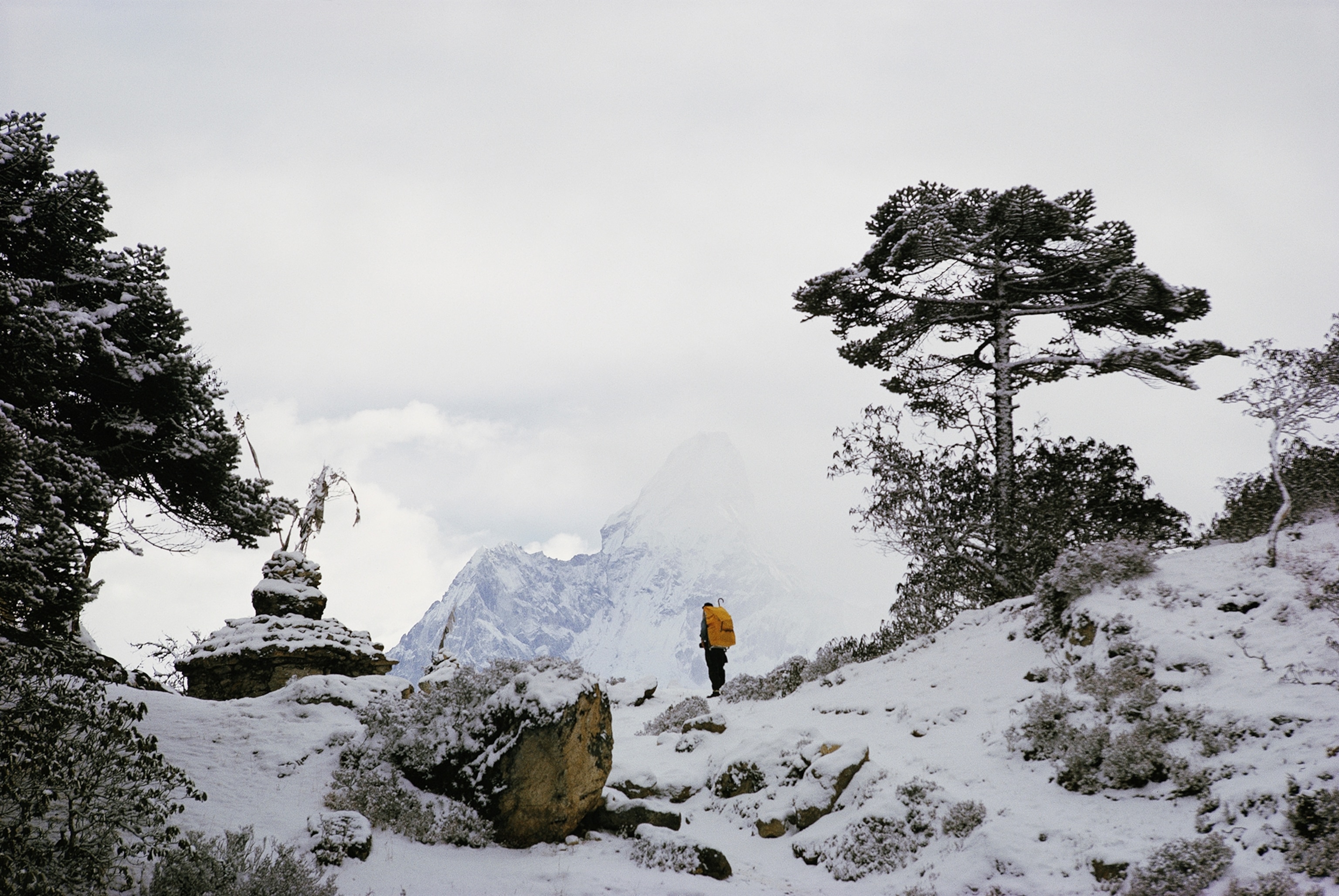 an expedition member standing in front of the Himalayan range.