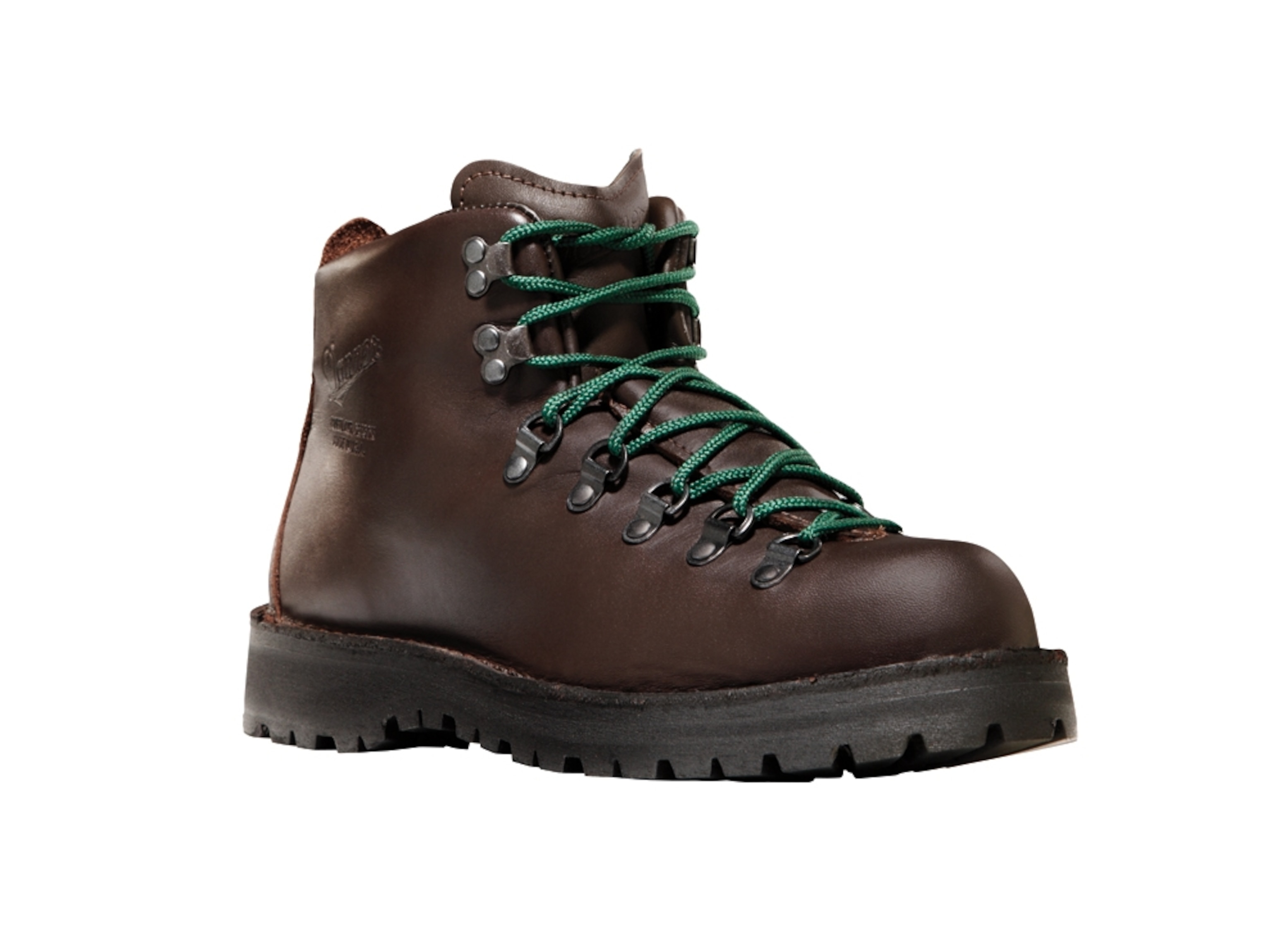 Danner Mountain Light Boots