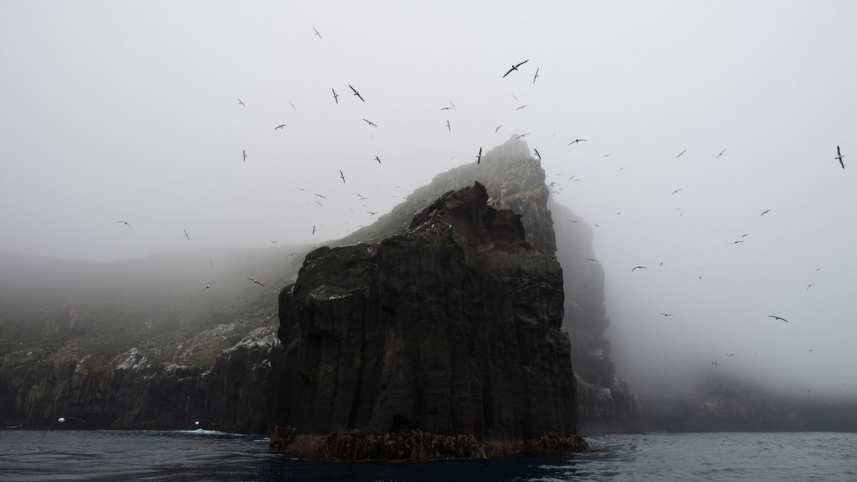 This is a side of New Zealand that most travelers never see