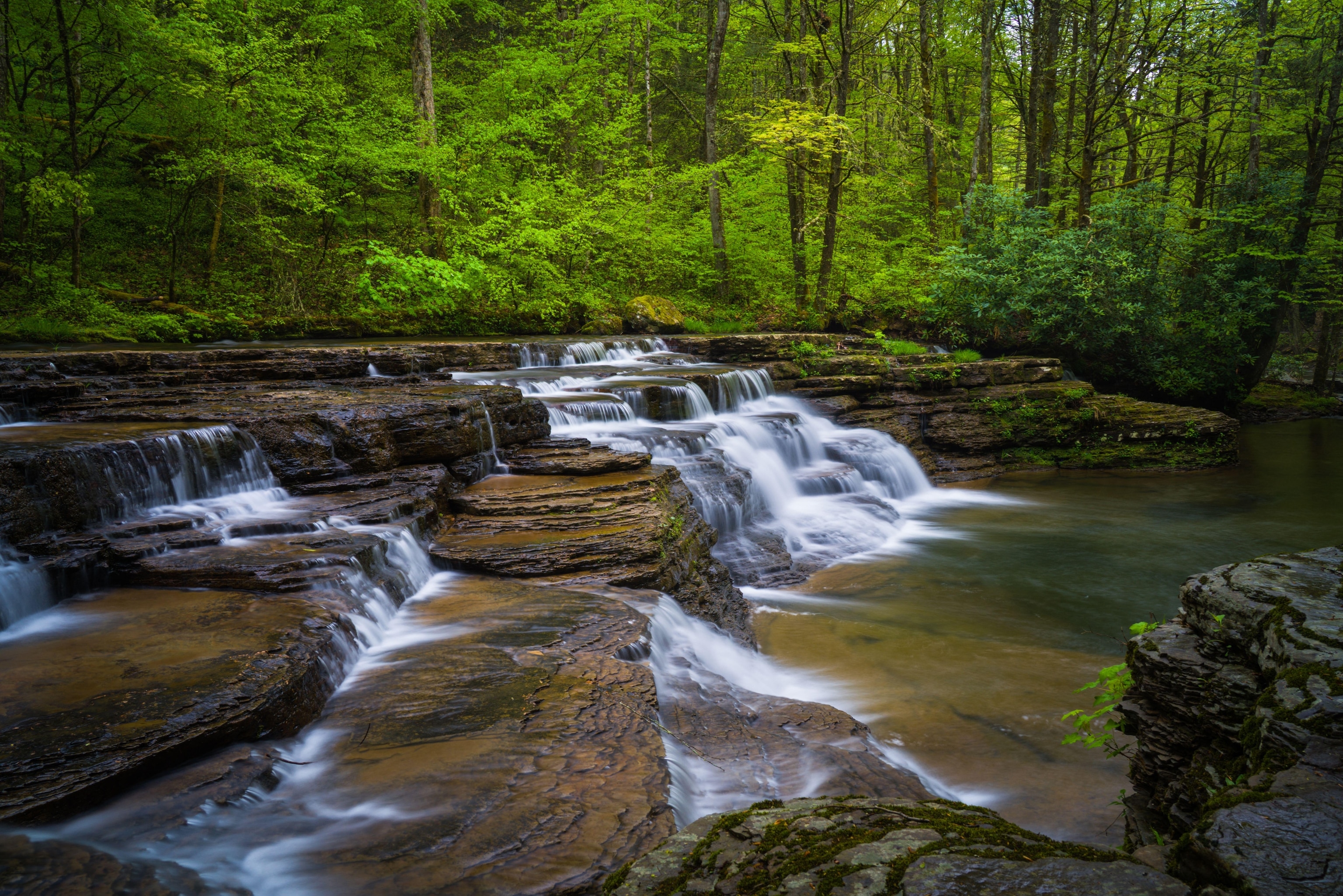 Water cascades over flat rocks into a pool of water in a green forest.