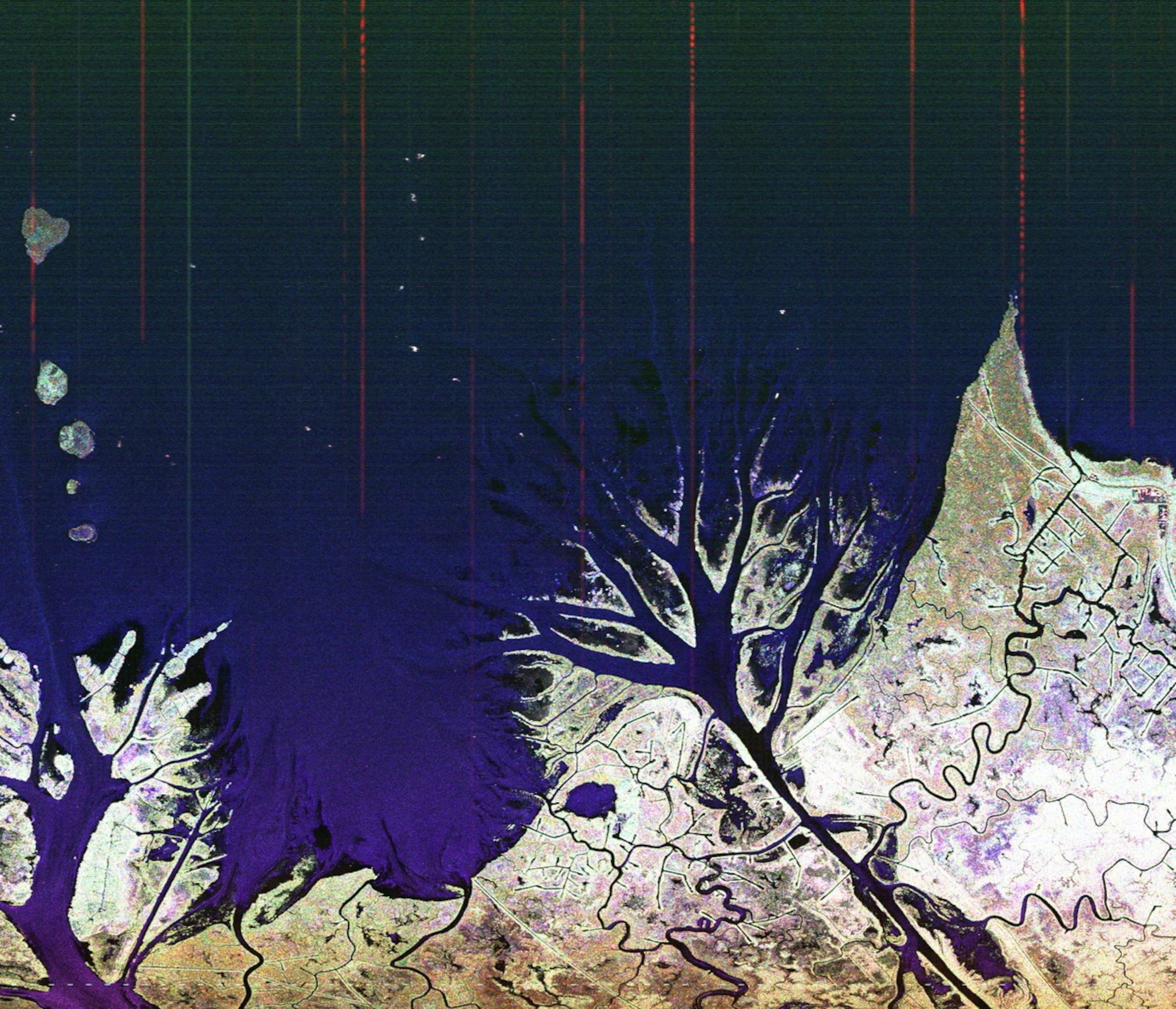 the Mississippi River delta