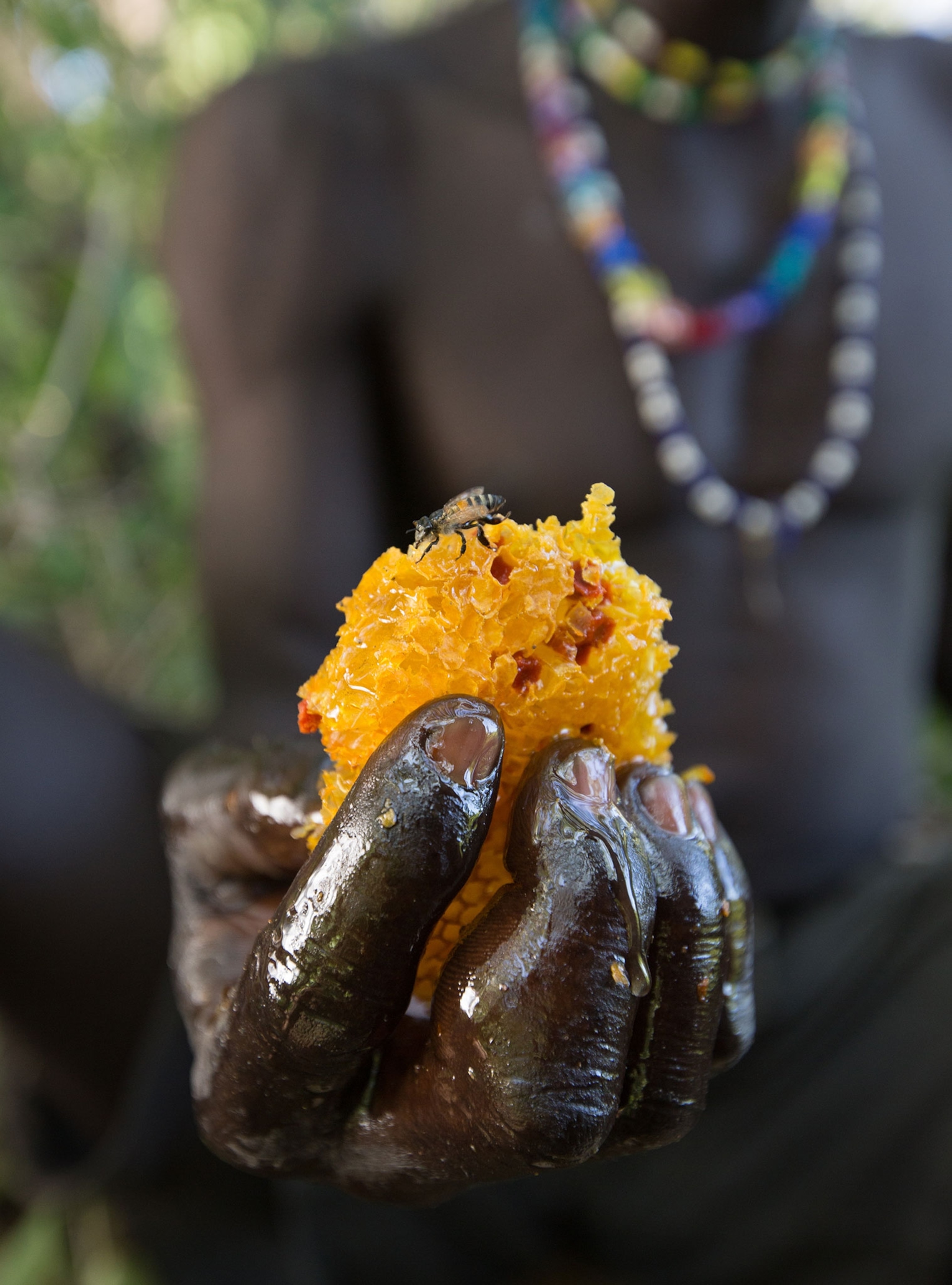 A man with dark skin holding a vibrant yellow honey comb the honey adding a glossy sheen to his fingers.