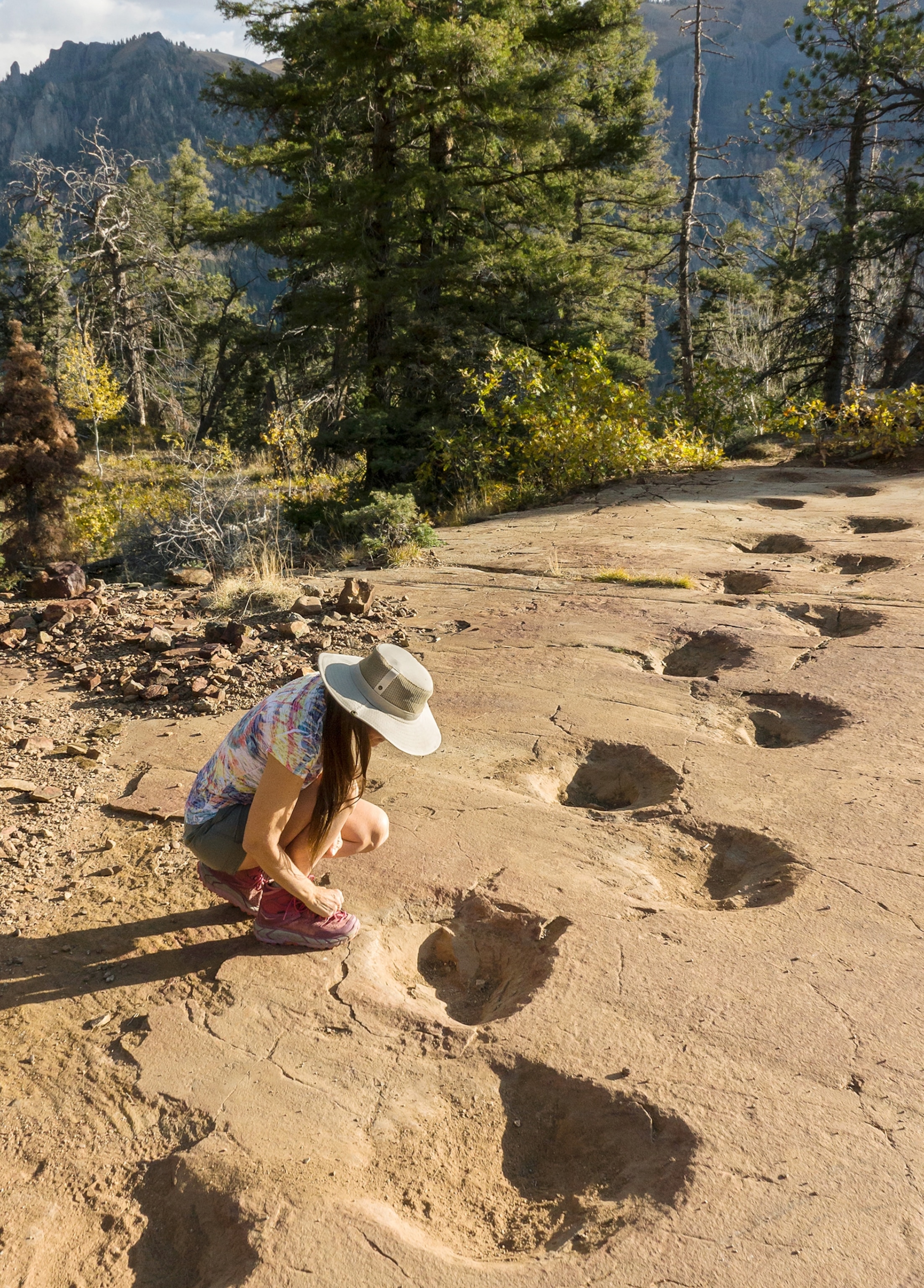 A person crouches down on the rock while observing the ground. Large dinosaur tracks are seen in the ground extending into the background of the frame. In the background are pine trees and mountains.