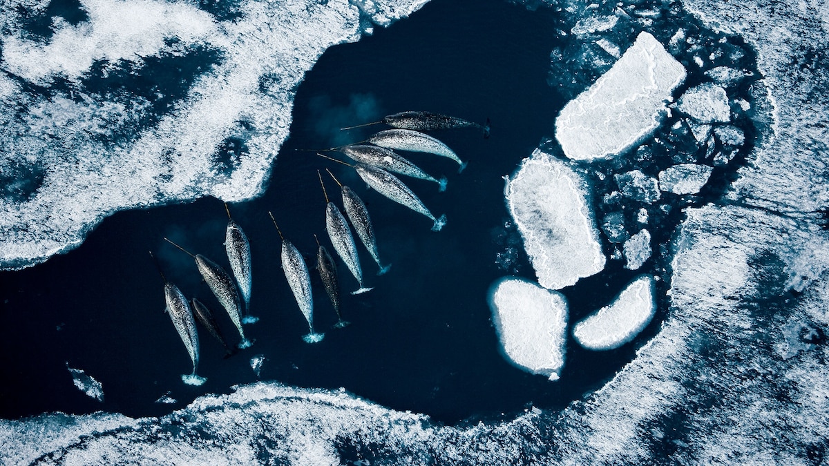 In Honor of Earth Day, Our Favorite Photos From Instagram