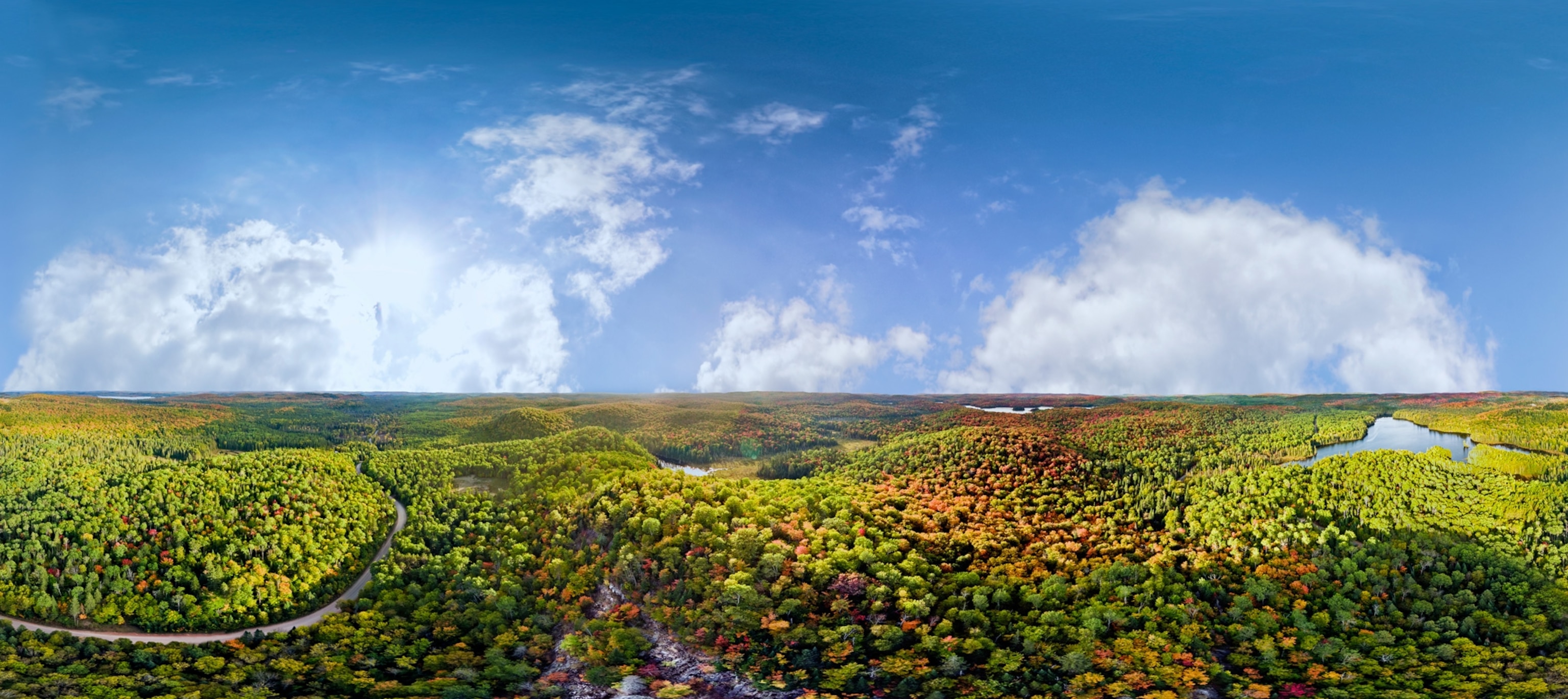 fall trees in Canada
